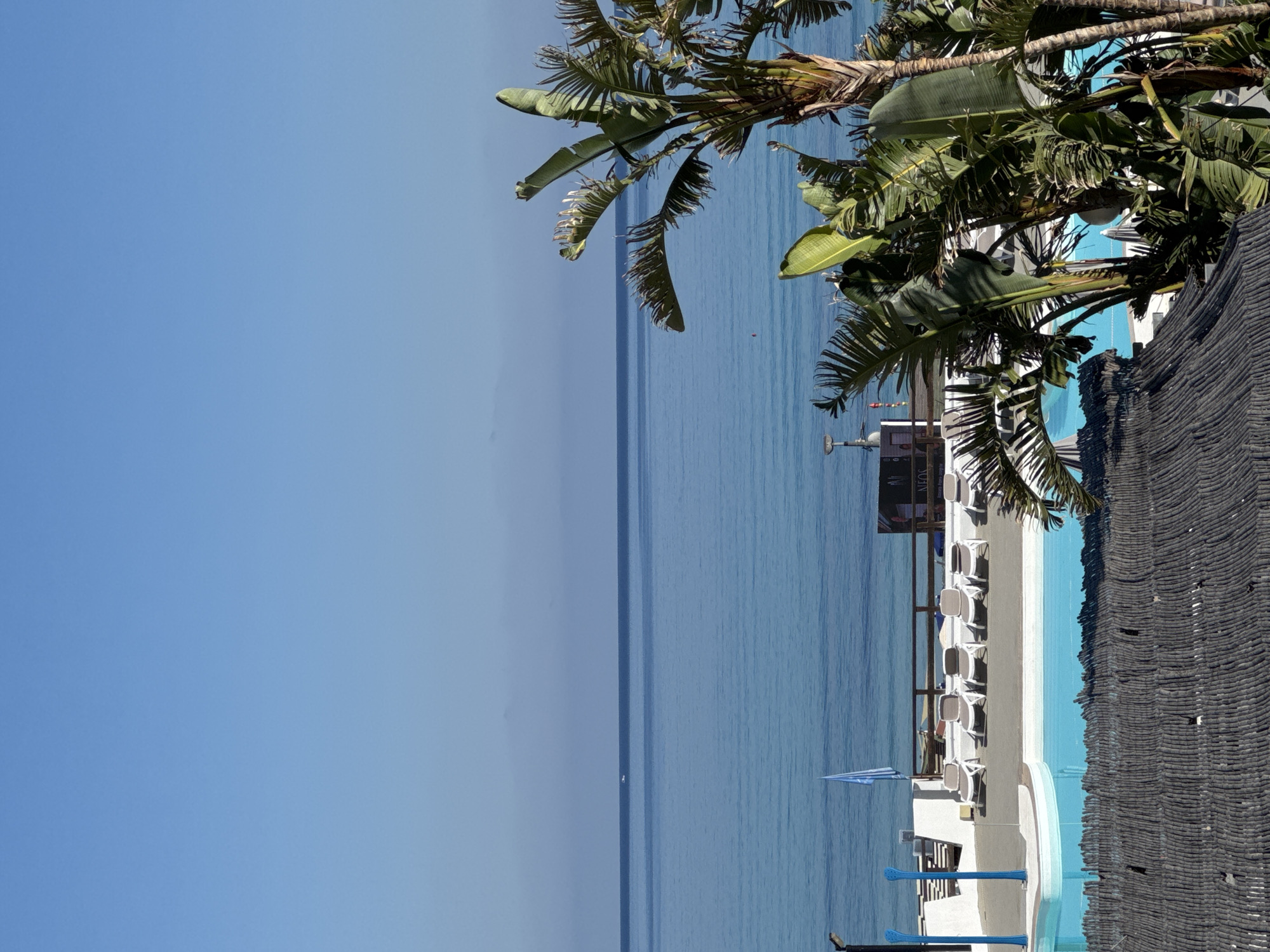The image depicts a serene view of the Mediterranean Sea on a clear, sunny day from a rooftop perspective in Isola delle Femmine, Italy. In the foreground, a portion of a dark thatched roof is visible, obscuring the lower part of the scene. Beyond this, a bright blue swimming pool is partially visible, bordered by white decking and lined with several empty lounge chairs. A blue flag on a pole stands near the pool. Lush green tropical foliage, including palm fronds and large leaves, frames the right side of the image, with a mature palm tree prominently featured. In the middle ground, a wooden railing separates the pool area from a walkway lined with more lounge chairs. A small boat or distant vessel is visible on the horizon. The overall atmosphere is one of tranquil relaxation and a coastal resort setting.