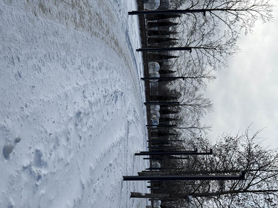 The image displays an outdoor scene in the city of Plodorodny, Russia, under an overcast sky. The ground is extensively covered in snow. A partially cleared, paved pathway, exhibiting a light snow dusting and some bare patches, runs along the left side of the foreground and extends into the mid-ground. To the right of this path, the ground is completely covered in undisturbed, textured snow with small drifts.
Rows of bare deciduous trees with dark trunks and branches line both sides of the scene, extending into the background. Interspersed among these trees are numerous tall, dark, rectangular streetlights, positioned equidistantly along the pathway. In the mid-ground, behind the deciduous trees and streetlights on the left, a row of dark, conical evergreen trees is visible.
Behind the row of evergreens and lights on the left, approximately eight transparent, dome-shaped structures are present, arranged linearly. These structures appear empty. Fainter, similar dome structures are discernible further in the background on the right side of the scene. No individuals or discernible activity are present.