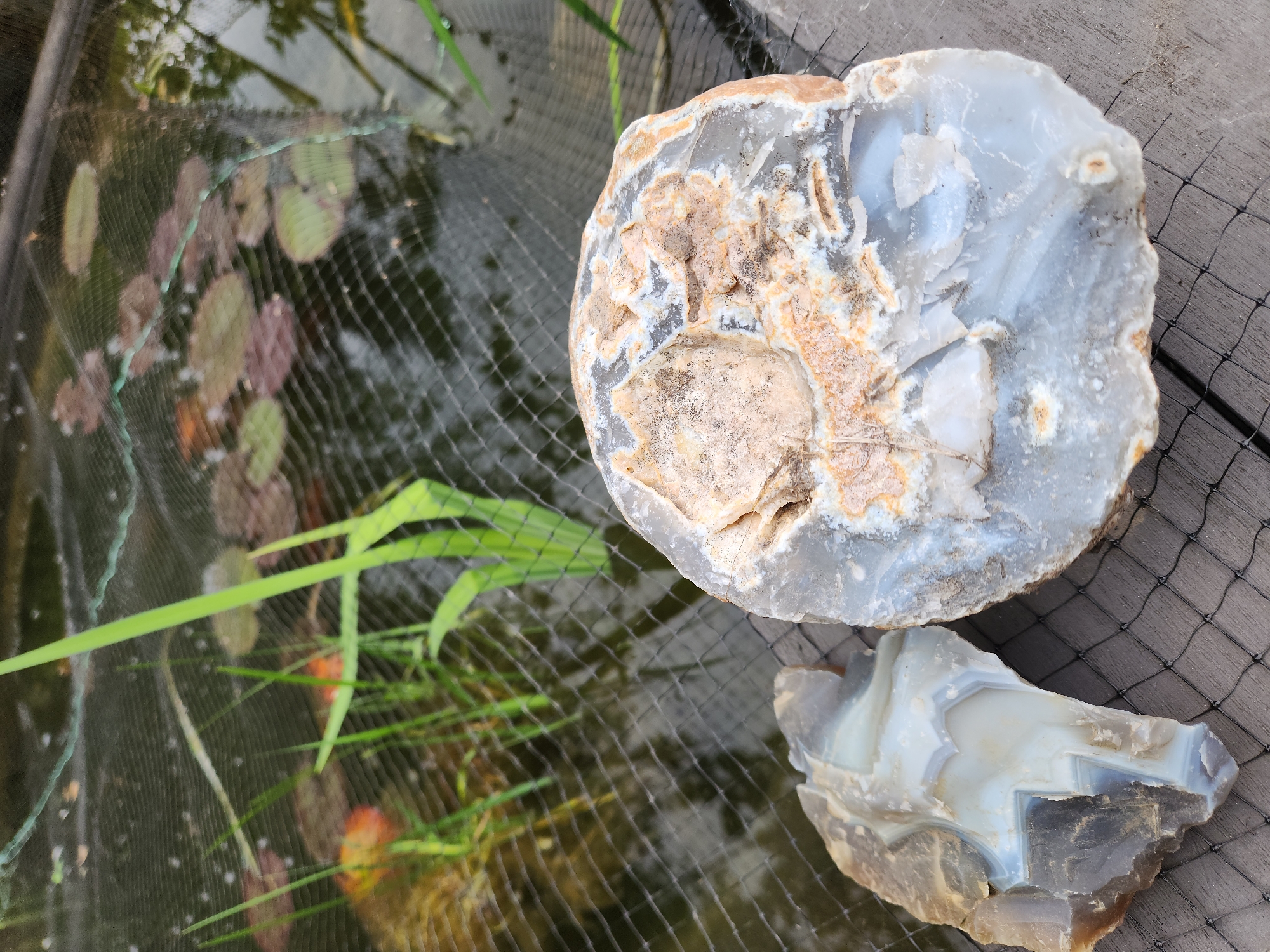 In an outdoor setting in Idar-Oberstein, Germany, two raw, cut pieces of agate or chalcedony are prominently displayed on a dark wooden surface. The larger stone, positioned on the right, is an irregular nodule fragment exhibiting exposed light blue-grey and white banded patterns with significant areas of orange-brown matrix and rough crystalline texture. The smaller, irregularly shaped piece on the left showcases distinct, angular, light blue-grey and white banding. Both stones rest upon a fine black mesh net, which also extends across the background over a body of water. This water body, likely a pond or ornamental pool, features multiple green and reddish-brown lily pads floating on its surface. Visible through the net in the water on the left are several orange-colored fish, consistent with goldfish or koi. Green reeds or grass-like plants emerge from the water or its edges, especially on the left. A green cord or rope is interwoven with the black netting in the upper middle section. The scene is brightly illuminated by natural daylight, with minimal shadows.