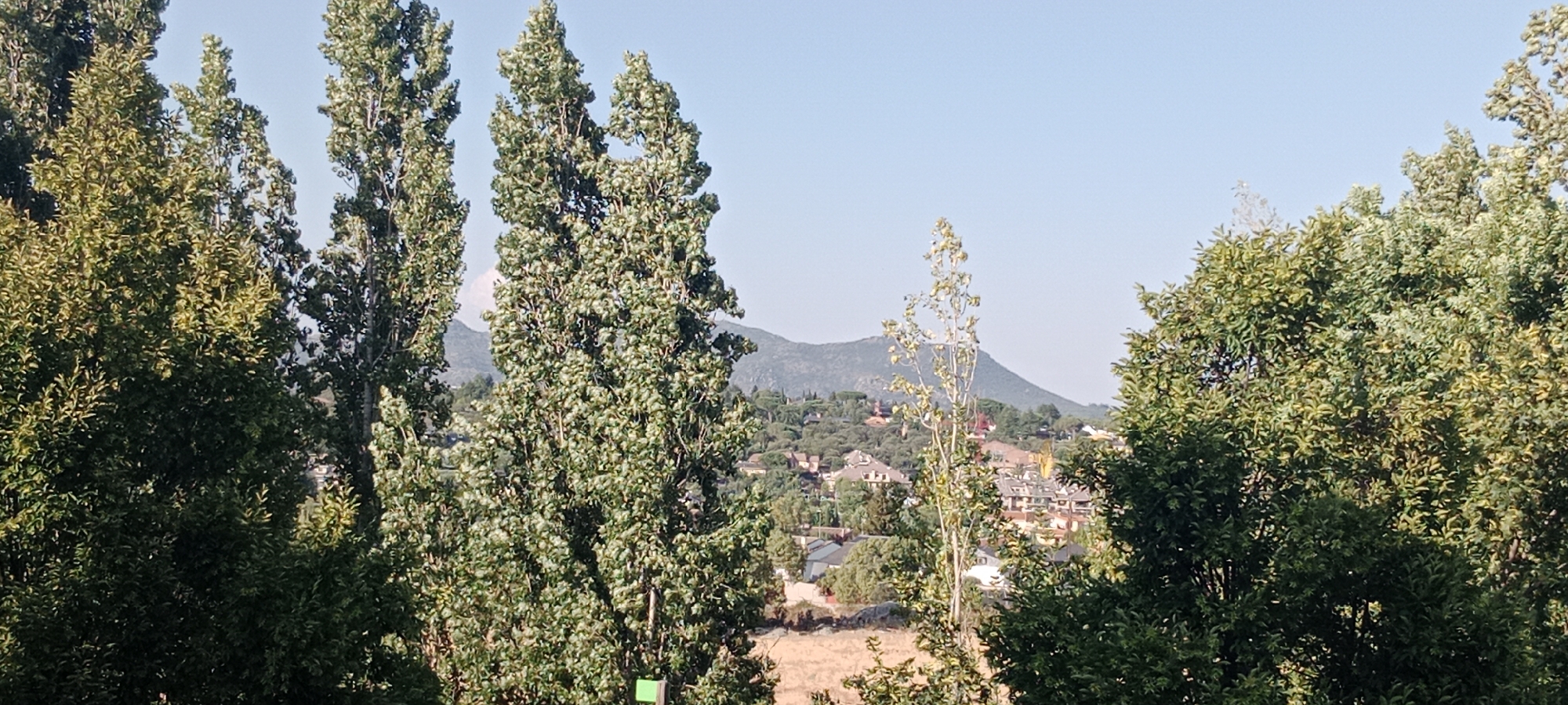 This is a panoramic, high-angle, daytime photograph taken in Galapagar, Spain, showcasing a residential area nestled within a natural landscape. The foreground is dominated by tall, slender trees with dense, green foliage, framing the view. A thinner, lighter-colored tree stands in the middle ground, positioned centrally. Beyond the trees, the scene opens up to reveal a village with numerous buildings featuring red-tiled roofs, interspersed with greenery. In the background, rolling hills and a mountain range under a clear blue sky complete the landscape. The overall impression is one of a tranquil, semi-rural environment.