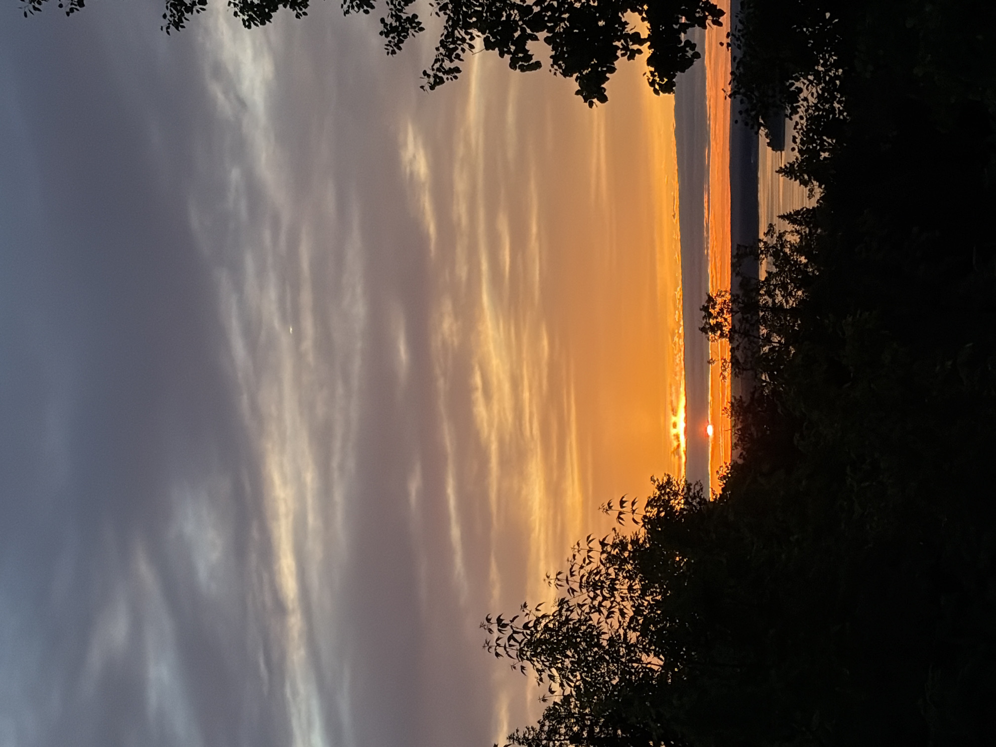 The image shows a sunset over water, framed by silhouetted trees. The sky transitions from grey clouds on the left to orange near the horizon, where the sun is setting. A thin strip of water reflects the orange light. Silhouetted branches are present in the foreground. The city of Izhevsk, Russia, cannot be confirmed based on this image.