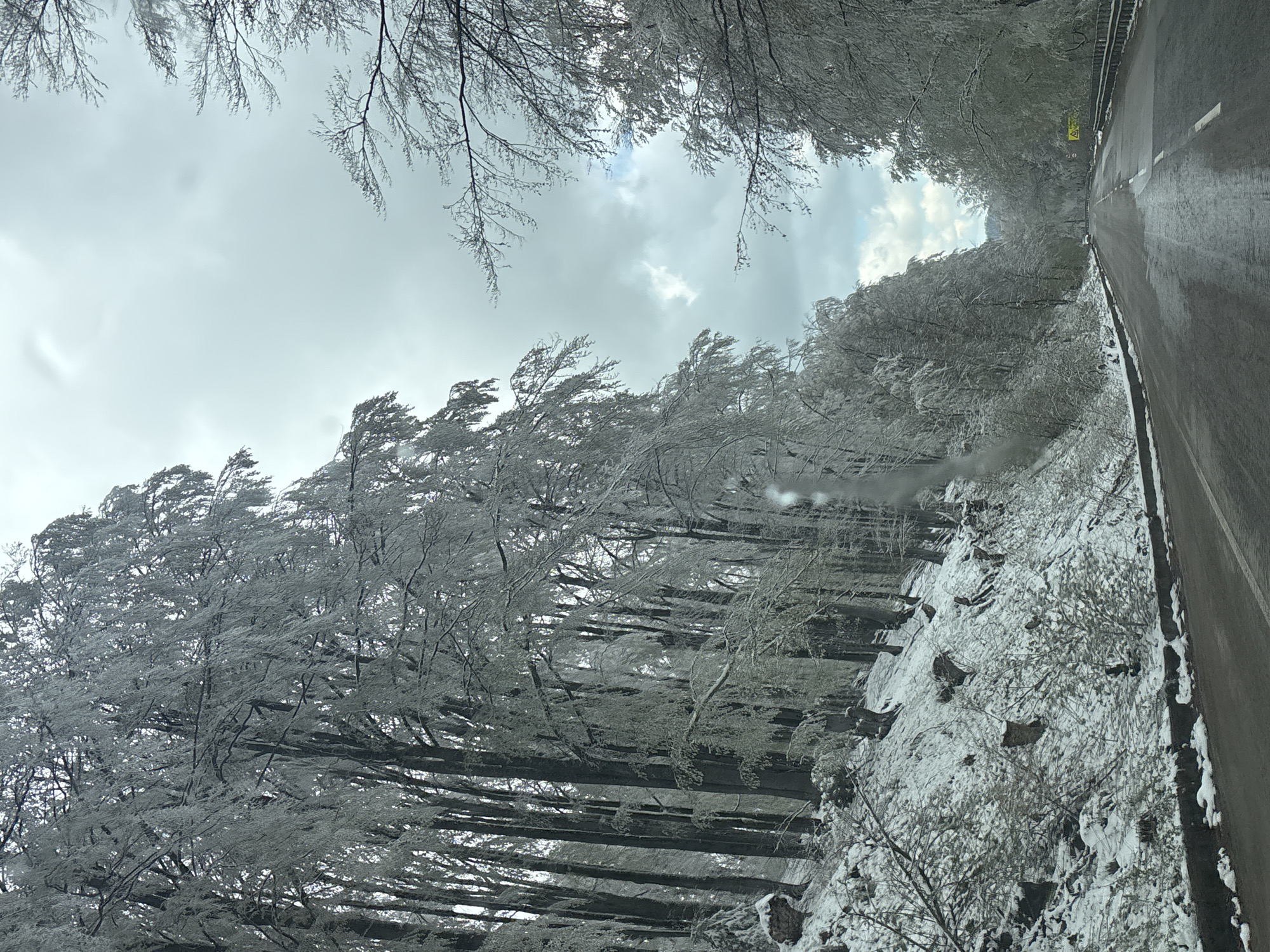 The image, oriented vertically, captures a striking winter landscape along a road in Barziya, Bulgaria. A dark, wet asphalt road with a white dividing line occupies the right side of the frame, disappearing into the distance. A metal crash barrier runs parallel to the road on the right.
The dominant feature is the dense forest lining both sides of the road, particularly prominent on the left. Deciduous trees are heavily coated in hoar frost or fresh snow, rendering their intricate branches a ghostly white and silver, standing out against the muted sky. The ground on the left slopes downwards, entirely covered in a blanket of snow, with dark rocks intermittently breaking through the white surface.
The sky above is predominantly overcast with grey clouds, although brighter patches of lighter sky, possibly indicating breaks in the cloud cover or hints of blue, are visible, suggesting it is daytime. No human activity or vehicles are visible. The weather conditions are clearly cold and icy, characteristic of a harsh winter. A small yellow diamond-shaped warning sign is visible in the distance on the right side of the road, but its specific symbol is indiscernible. The scene conveys a sense of stark, quiet beauty and the profound impact of winter.
