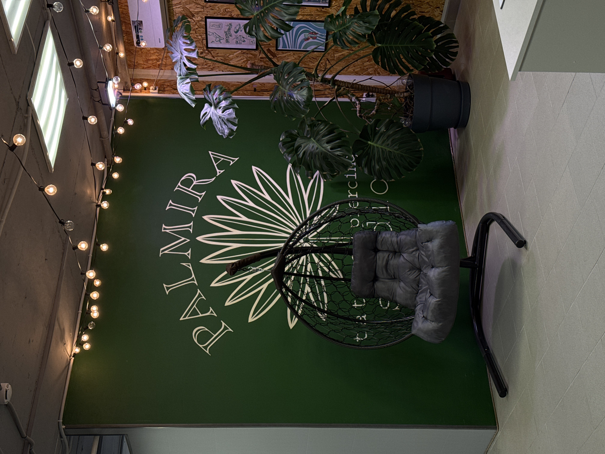 This indoor scene showcases a modern and inviting lounge or waiting area, characterized by a prominent dark green accent wall. A large white graphic of a stylized palm leaf is central on this wall, flanked by white text. To the left, the word "PALMIRA" is written vertically in capital letters, and to the right, a partially visible word begins with "exercis".
A black woven hanging egg chair, furnished with a dark gray tufted cushion, is positioned in front of the green wall, suggesting a spot for relaxation. Overhead and to the right, a large Monstera plant in a dark planter cascades its lush, split leaves over the wall.
Ambient lighting is provided by a string of warm, spherical light bulbs running vertically along the left side of the green wall. Brighter, square ceiling-mounted LED panels are visible further left. The ceiling above the Monstera plant is made of light-colored wooden planks, featuring an air conditioning unit and several framed pictures. The floor is laid with light gray or beige rectangular tiles. The space has a natural and comfortable aesthetic, designed for leisure, with artificial lighting indicating an indoor setting regardless of the time of day.