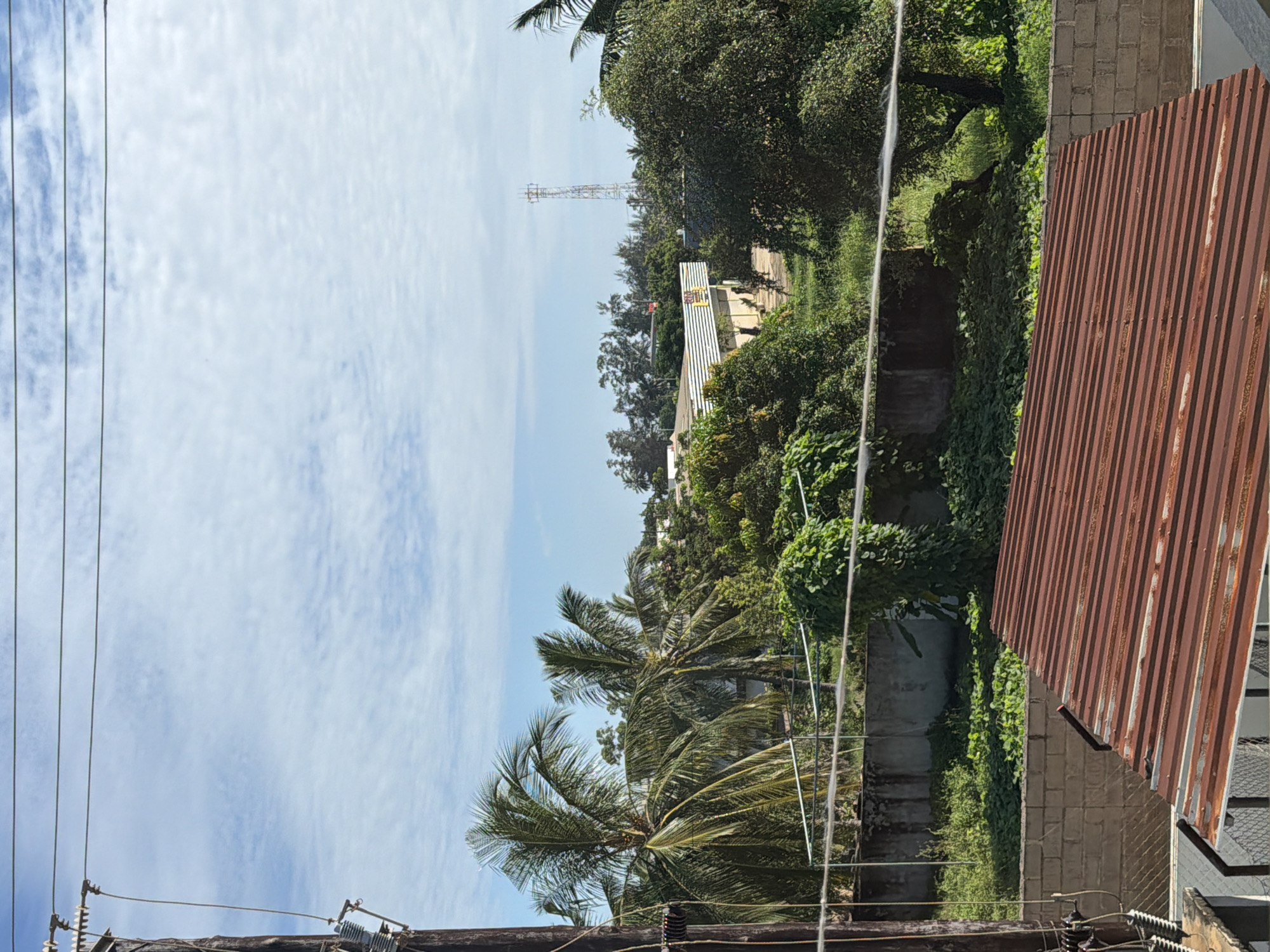 A daytime outdoor shot reveals a cityscape from an elevated perspective, likely within the city of Unknown, Unknown. The sky, predominantly light blue, is dotted with scattered white clouds. Dominating the foreground are electrical poles and wires, indicating an urban setting. Palm trees and dense green foliage fill the midground, interspersed with buildings of varying heights. A metallic communication tower rises in the background. A rusty, corrugated metal structure occupies the right side of the frame, adding a textural contrast to the greenery and sky.