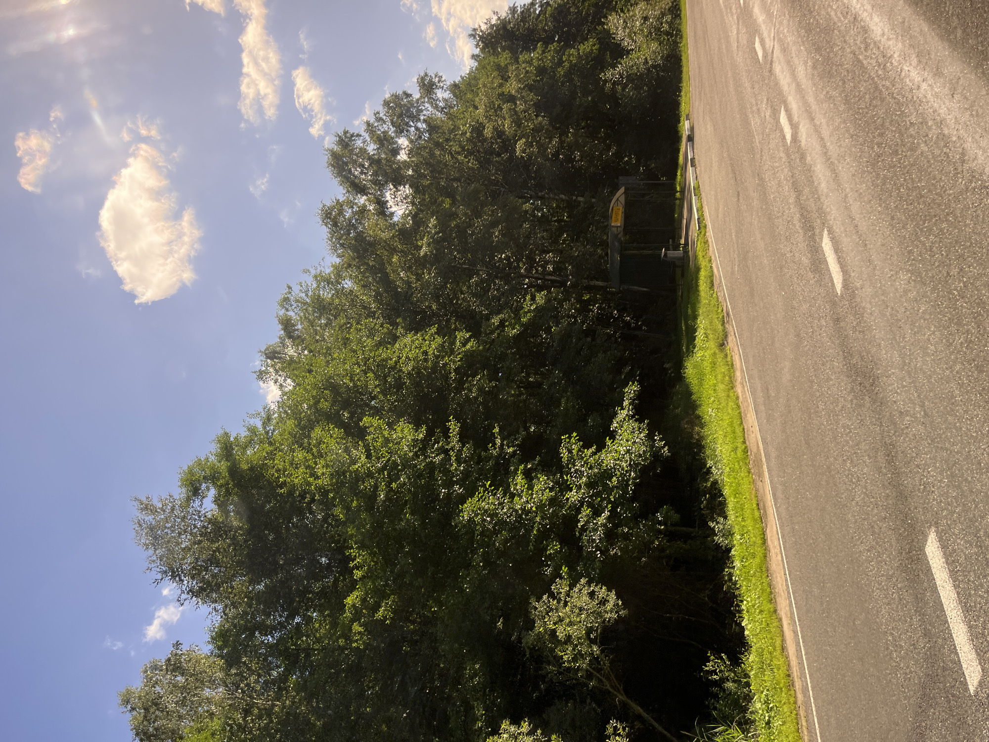 The image depicts a sunlit scene on a roadside in the Мядзельскі сельскі Савет, Belarus. A paved road with white lane markings curves into the foreground, reflecting the sunlight. To the left of the road, a strip of bright green grass borders a dense, dark green forest. On the right side of the road, a small bus stop shelter with a yellow sign is visible, nestled at the edge of the treeline. The sky above is a clear blue, punctuated by fluffy white clouds, with the sun casting a warm glow and creating lens flare effects. The overall atmosphere is one of a rural, natural setting on a bright day.