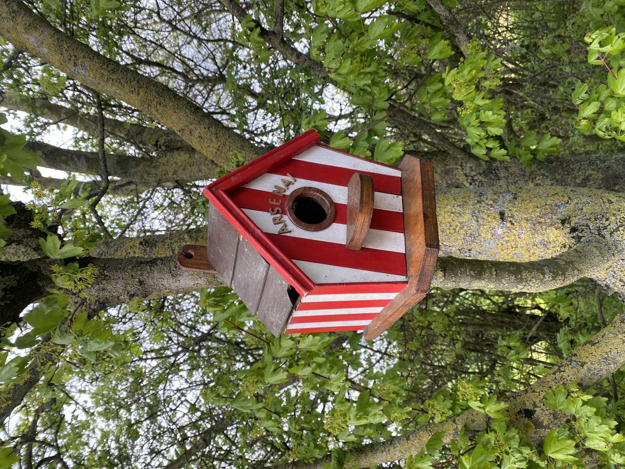 A birdhouse is mounted on a tree branch. The birdhouse is painted with red and white stripes and has "ARSENAL" inscribed around the entrance hole. The tree is surrounded by green leaves and branches. The photograph was taken in the Breckland District, United Kingdom.