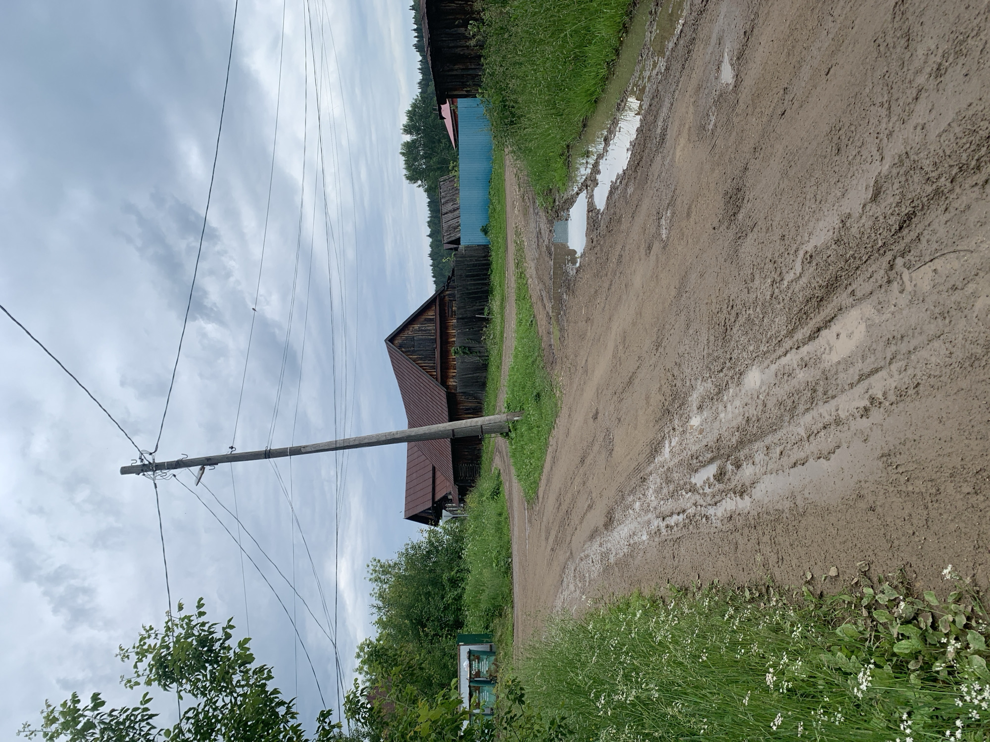 The image depicts a rural scene on an overcast day. A dirt road, partially covered in puddles and mud from recent rain, curves through the frame. To the left, tall green grass and small white wildflowers grow along the roadside. In the background, several wooden houses with dark, pitched roofs are visible, along with a bright blue fence. A utility pole with multiple wires stretches across the upper portion of the image, casting shadows on the cloudy sky. The environment appears to be a village or rural settlement in Barsai, Russia. No people or animals are present.