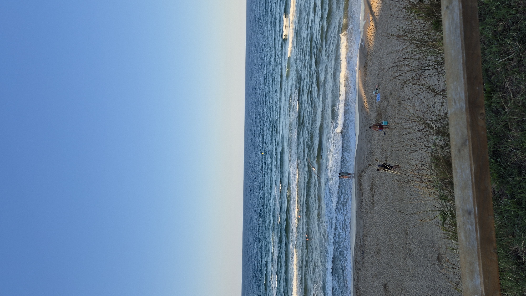 The image depicts a serene beach scene in Primorsko, Bulgaria, under a clear blue sky. The horizon is a sharp line where the vast expanse of the deep blue sea meets the lighter sky. Gentle waves with white crests roll towards the sandy shore, creating a textured pattern on the water's surface. Several individuals are visible on the beach and in the water. On the shore, near the water's edge, two people stand together, facing the sea. Further inland on the sand, a person in dark clothing walks towards the left, while another person in red shorts stands near a light blue bucket on the right. Another individual is lying on a towel in the background. In the water, several people are swimming or wading. A seagull is captured in flight over the waves. The foreground is partially obscured by a wooden railing and dry vegetation, suggesting the vantage point is from a slightly elevated position overlooking the beach. The overall atmosphere is one of peaceful recreation on a sunny day.