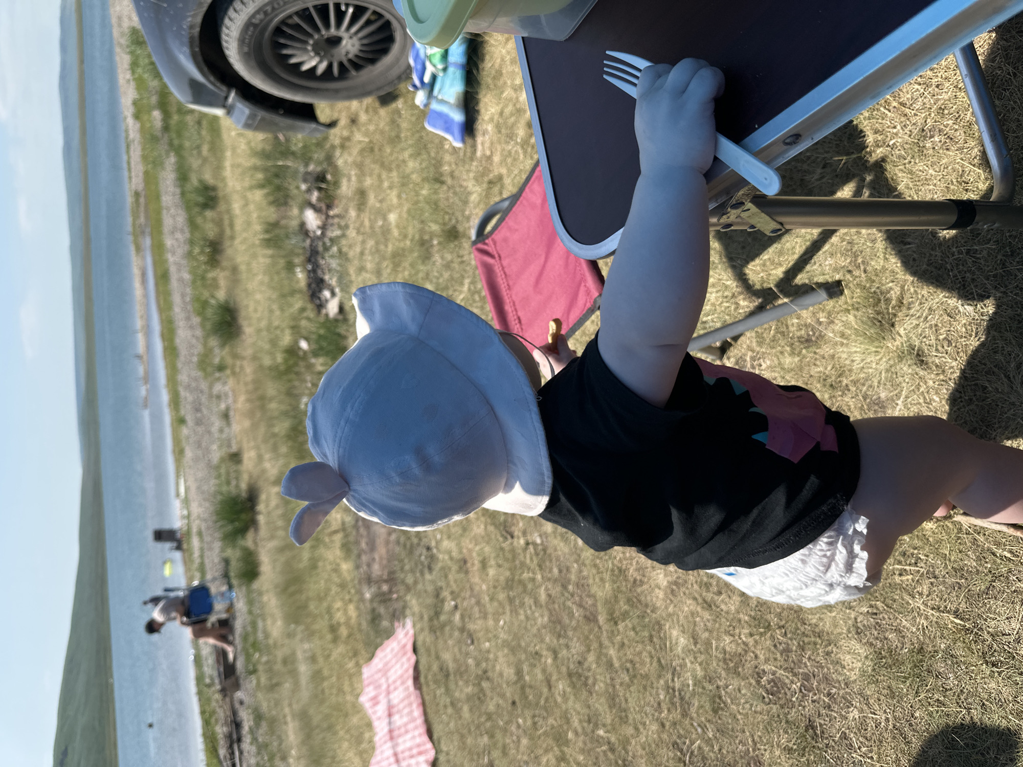 The image shows a toddler wearing a white sun hat with bunny ears, a black t-shirt, and a diaper. The toddler is standing and reaching for a white plastic fork on a brown table. In the background, there is a lake, a grassy shore, a car, and a red folding chair. There are also two people sitting by the lake in the distance, one in a blue chair and another further back. The scene appears to be a picnic or camping trip. The location is identified as Novonikolaevka, Russia.