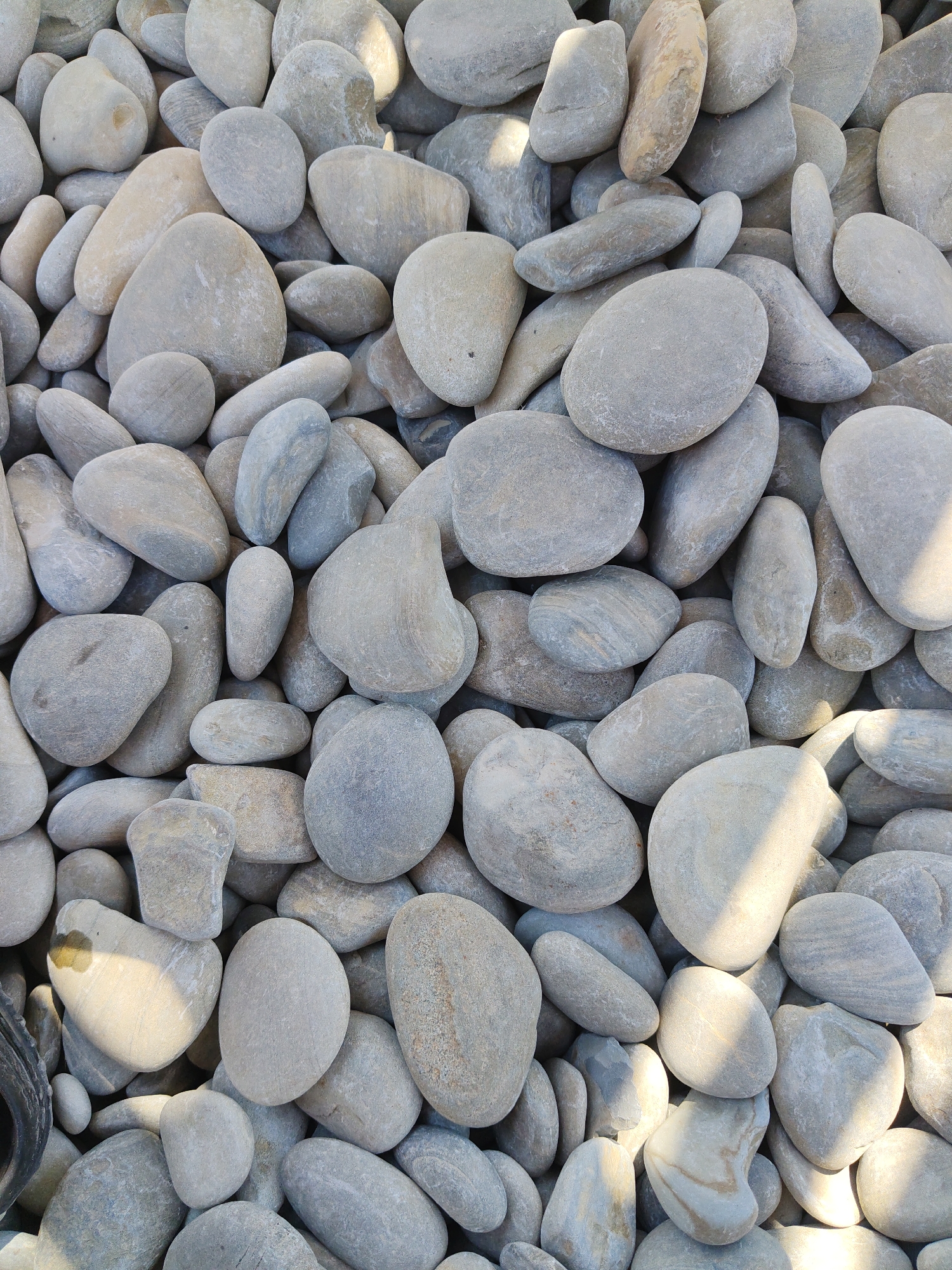 The image shows a dense pile of smooth, light-colored river stones. The stones vary in size and shape, with many appearing oval or rounded. Some stones have streaks or variations in their color and texture, ranging from off-white to light gray. Sunlight casts shadows across the stones, highlighting their rounded forms. The scene appears to be an outdoor setting, possibly a construction site, landscaping area, or a natural environment with a concentration of such stones. There are no people or visible signs of activity in the image. The location of Novorossiysk, Russia, is not visually discernible from the image itself.