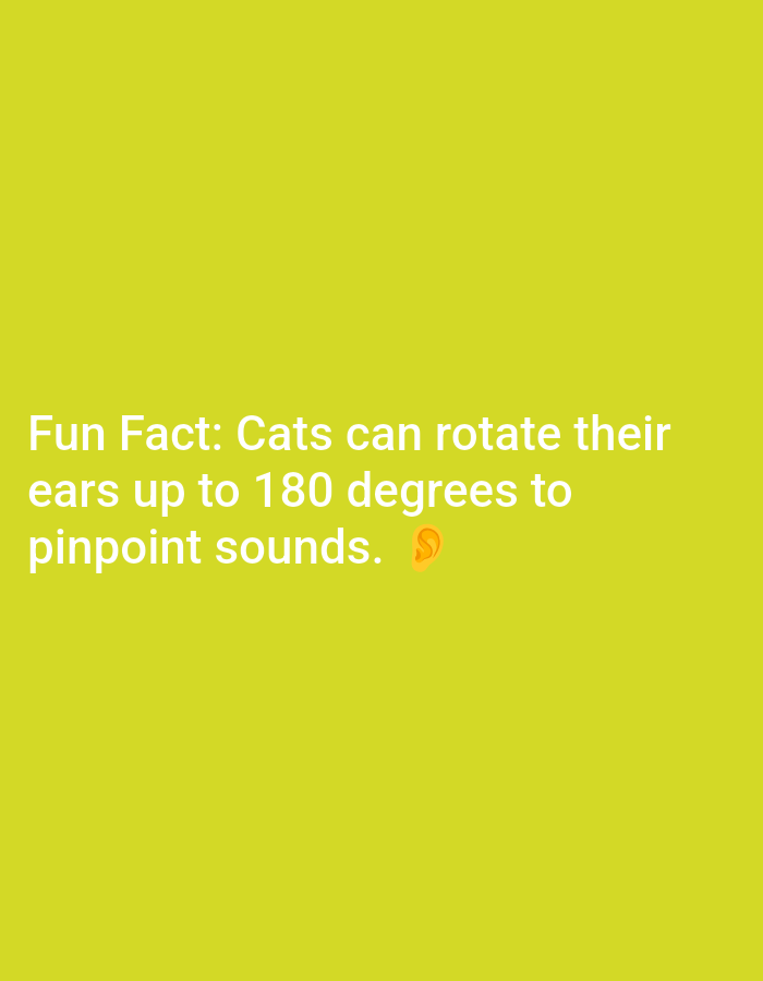 The image displays white text on a bright yellow background. The text reads "Fun Fact: Cats can rotate their ears up to 180 degrees to pinpoint sounds." An emoji of an ear is located at the end of the sentence. There is no discernible location in Lagos, Nigeria, or any elements that could be described as a scene with people, objects, or actions.