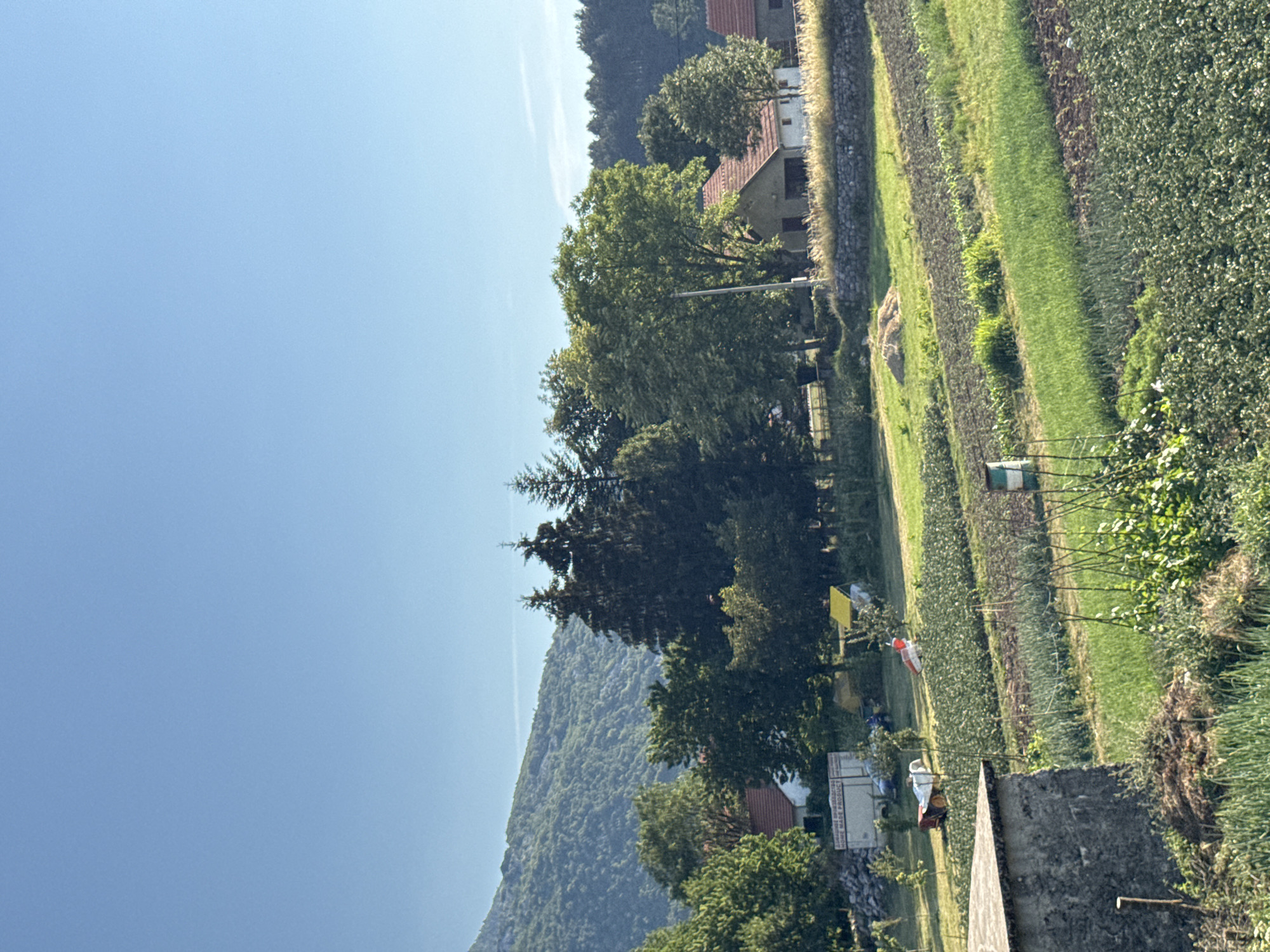 The image depicts a rural landscape in Erakovići, Montenegro, bathed in clear daylight under a bright blue sky. The foreground is dominated by cultivated fields, showing rows of green vegetables and tilled soil, indicating agricultural activity. A concrete structure with a rough texture is visible in the lower left corner. In the mid-ground, several buildings with tiled roofs are scattered amidst lush green trees. A yellow structure, possibly a canopy or tent, is set up in a field. Two small agricultural machines are present; one is red and white, and the other is white with a red element. A hay pile is visible on a grassy area. The background features a dense forest leading up to a steep, tree-covered mountainside. The scene conveys a tranquil, agrarian setting.