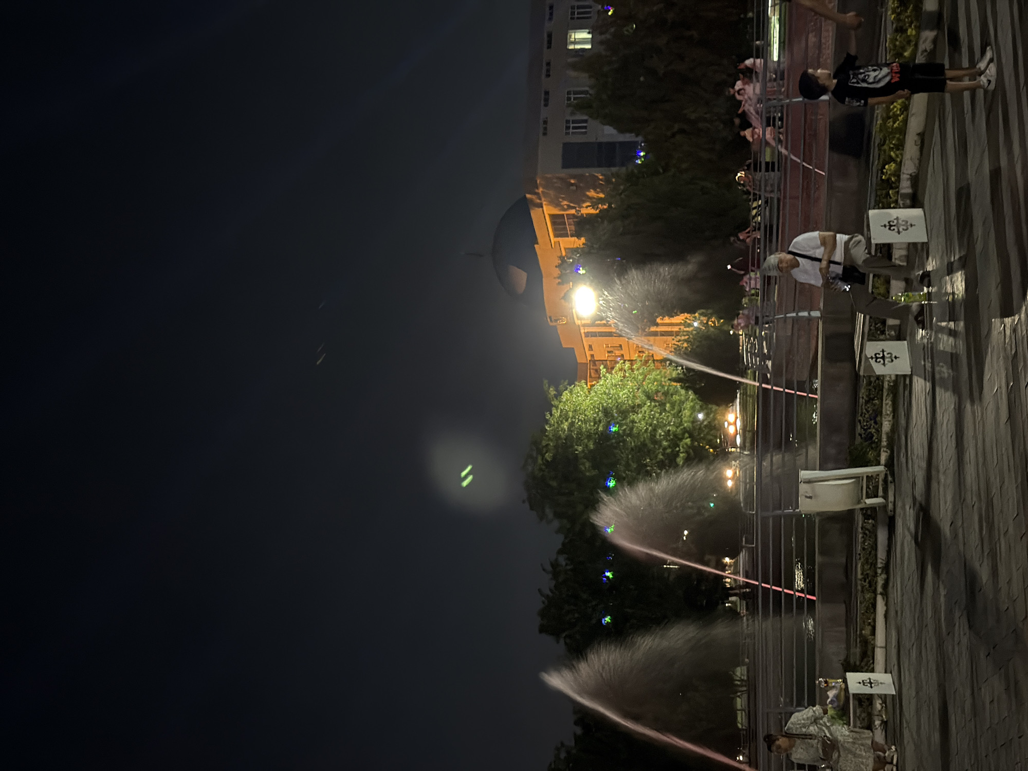 The image depicts a nighttime scene in a public space, likely a park or plaza, in Shymkent, Kazakhstan. The orientation of the photo is vertical.
Several people are present. In the foreground, an elderly person with gray hair is watering plants with a hose, creating a misty spray. Further to the right, a child wearing a black t-shirt with a graphic design and a black cap is looking upwards. In the background, other individuals, some of whom appear to be children, are visible in groups, some near a railing.
The setting includes a building in the background with illuminated windows. There is also dense foliage, suggesting trees or bushes, decorated with colorful lights. A prominent dome-shaped structure is visible above the trees, possibly part of a building or monument. In the foreground, a paved walkway is present, with several white signs displaying a dark symbol, possibly a crest or emblem. Several spray nozzles are active, contributing to the misty atmosphere.
The time of day is clearly night, indicated by the darkness of the sky and the artificial lighting. The weather appears to be clear, as evidenced by the sharpness of the lights and the visible details. The overall mood seems to be one of leisure and perhaps celebration, given the presence of the lights and the gathering of people.
There is no visible text in the image.