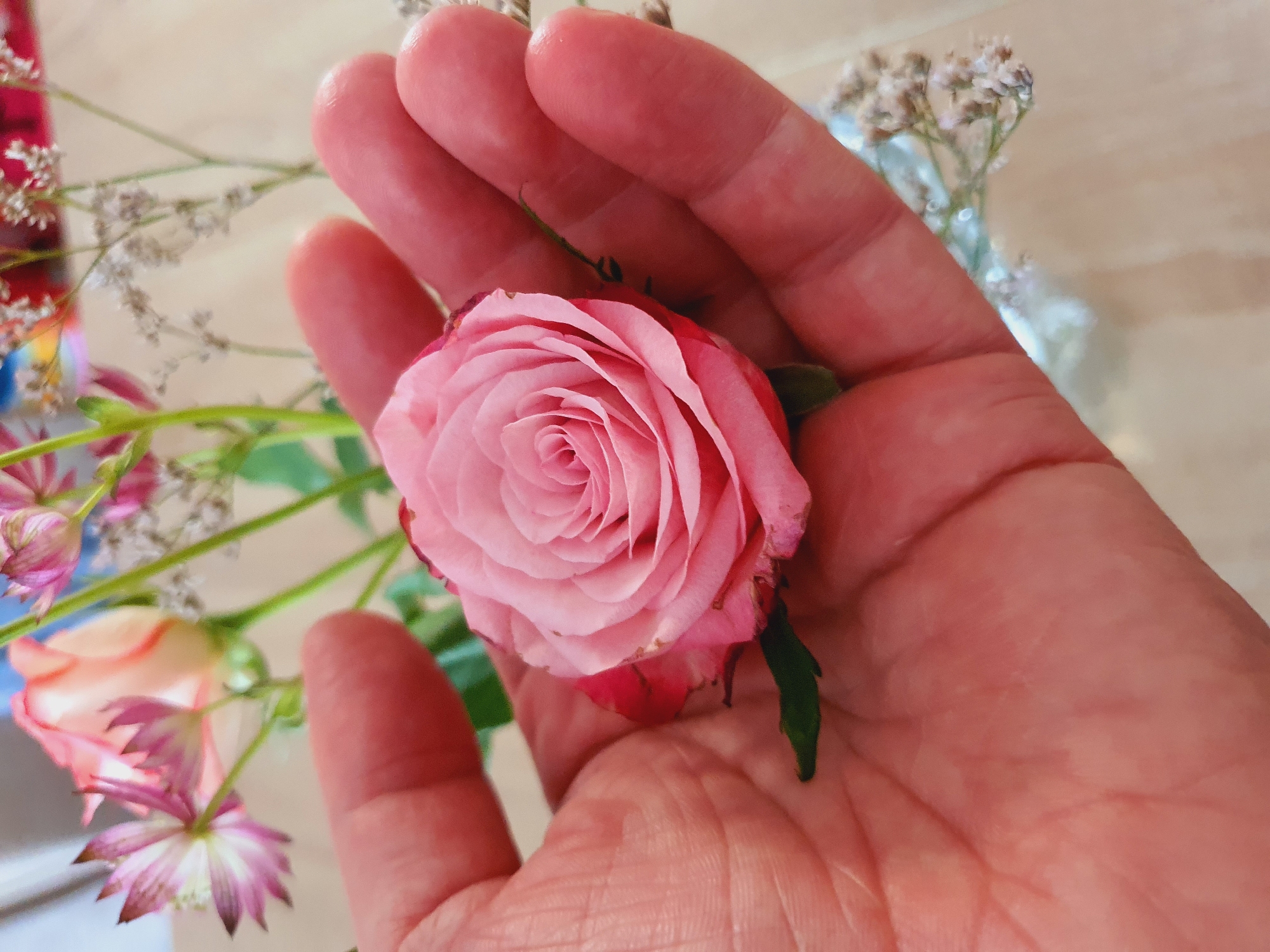 A person's open hand holds a single pink rose. The rose is small with delicate, layered petals and a darker pink edge on some of the outer petals. A single green leaf extends from beneath the rose. The hand is cupped, showing the palm and fingers, with the rose nestled in the center. In the background, out of focus, are other flowers, including some pink and white blossoms and some small, dried white flowers. The surface beneath the flowers and hand appears to be a light-colored, textured material, possibly a wooden table.
