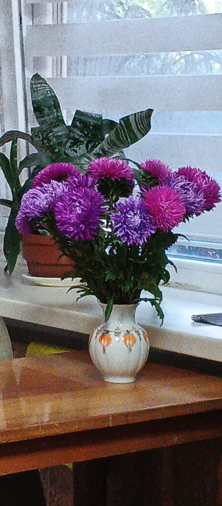 A close-up, slightly grainy photograph captures a still life composition on a wooden surface. In the foreground, a white ceramic vase with a narrow neck and a rounded body is adorned with an orange floral pattern. The vase contains a bouquet of vibrant purple and pink asters. Behind the vase and flowers, a potted plant with long, striped green leaves is visible. The arrangement sits on a wooden table or windowsill, with a window and blinds in the background. The light filtering through the blinds creates a diffused illumination. No people are present in the image. The image does not provide any specific details about its location in the city of Smila, Ukraine.