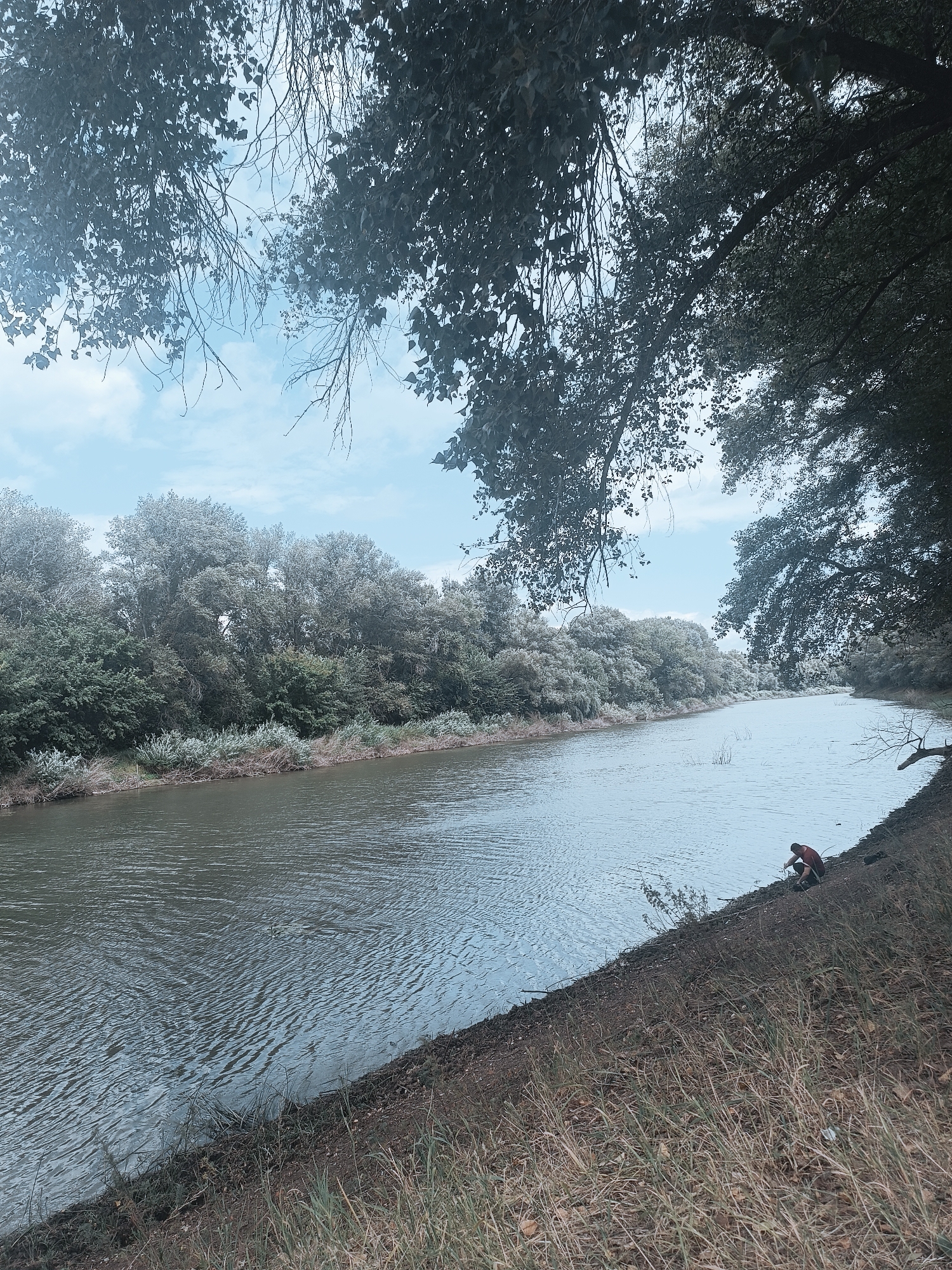In an outdoor scene, a person is crouched by the edge of a wide, calm river. The river occupies the majority of the frame, reflecting a pale blue sky dotted with wispy clouds. The riverbank on the right side of the image is steep and covered in dry grass and sparse vegetation. On the opposite bank, a dense line of trees forms a green border under the sky. Overhanging branches and leaves from trees frame the top and right sides of the image, casting some shadow over the scene. The person, wearing a dark shirt and dark pants, appears to be interacting with something on the ground near the water's edge. The overall lighting suggests it is daytime, possibly overcast or late afternoon given the muted tones.