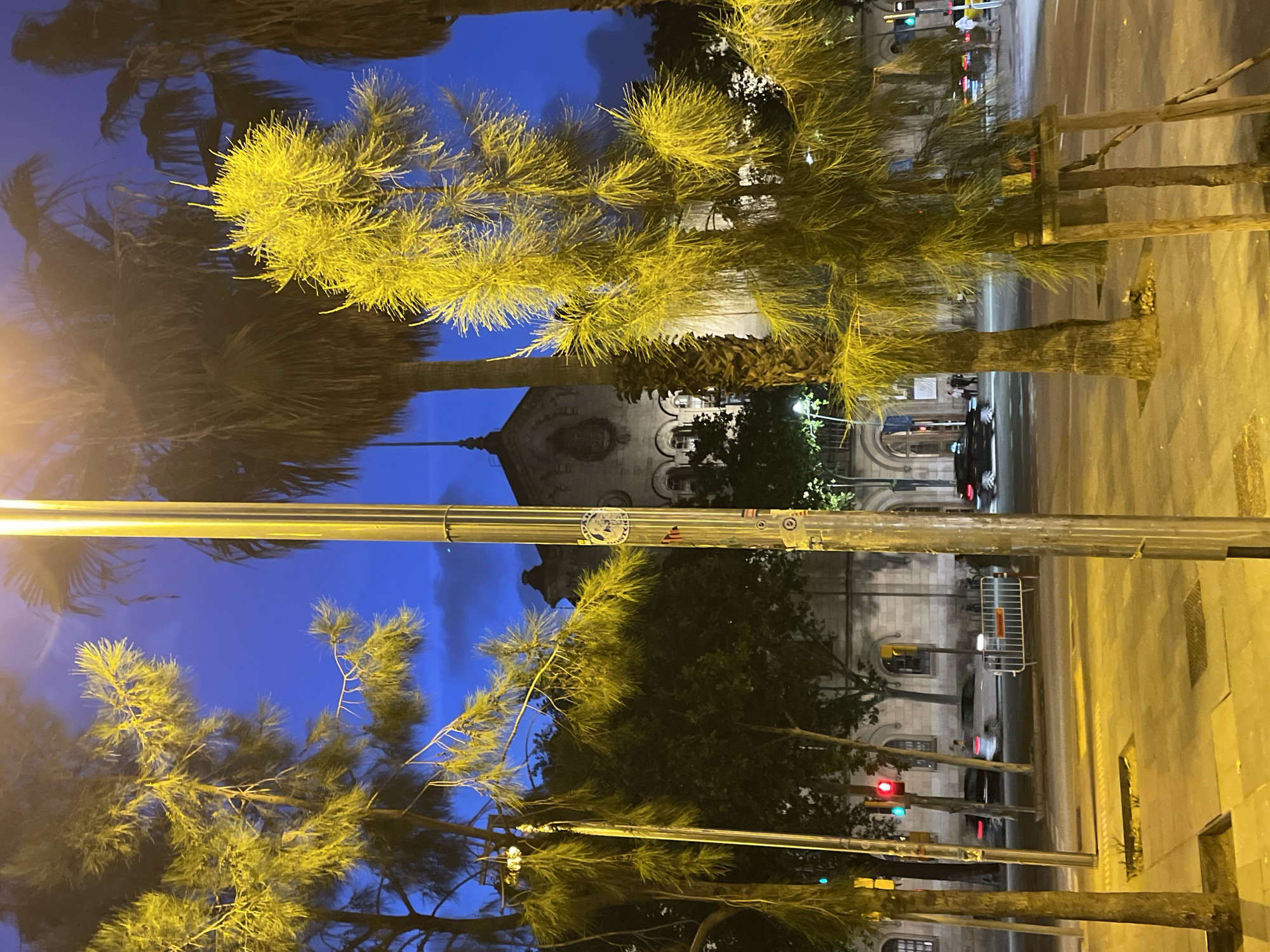 A medium shot captures a city street scene at dusk. In the foreground, a tall, illuminated lamppost stands centrally, its metallic surface reflecting the surrounding yellow light. To its left, a slender tree with sparse, bright yellow foliage is partially visible, its branches extending upwards. Behind these, a larger palm tree with a rough, textured trunk is silhouetted against the twilight sky. Further to the right, another palm tree, similarly dark and dense, frames the scene.
The background reveals a large, ornate building with classical architectural elements, including arched windows and a prominent facade. The sky above is a deep blue, transitioning to darker shades as night approaches, with subtle cloud formations visible.
The street itself is paved with concrete, and a road with a white line marking is visible. Several cars are present on the road, some in motion, creating streaks of light from their headlights and taillights. A traffic light shows a red signal. A white metal barrier is set up on the sidewalk. A few figures are seen walking on the sidewalk in the distance. The overall lighting suggests an urban environment at the end of the day.