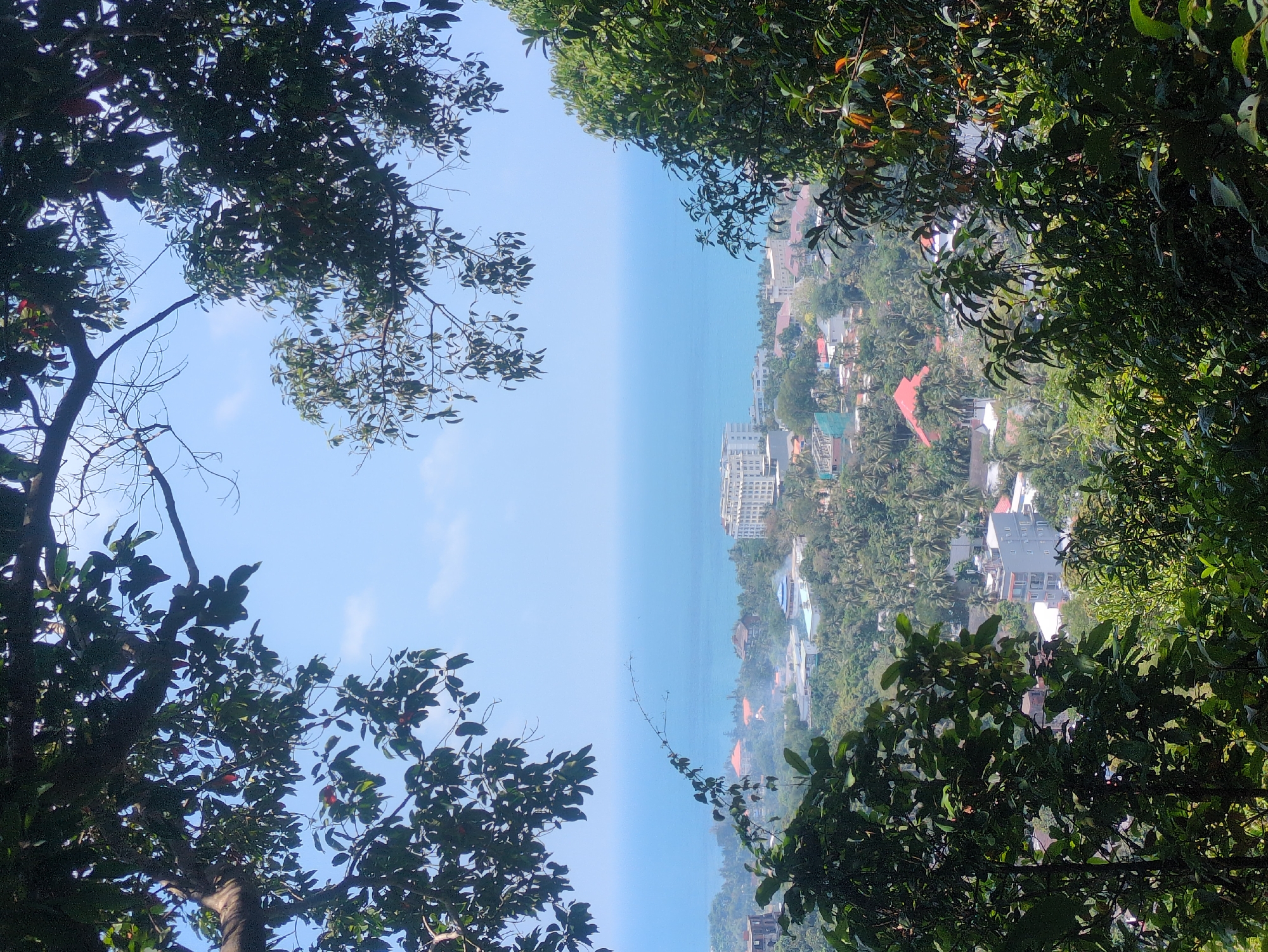 The image shows a view from a high vantage point in Phú Quốc, Vietnam. The foreground is framed by dense foliage on both sides, creating a natural window. Through this opening, a panorama unfolds, revealing the sea and the urban landscape. The sea is a prominent band of blue. The urban landscape includes buildings of various sizes and architectural styles, nestled amidst lush green vegetation. The buildings are mostly low-rise, with a few taller structures breaking the skyline. The overall scene suggests a coastal city integrated with a tropical environment.