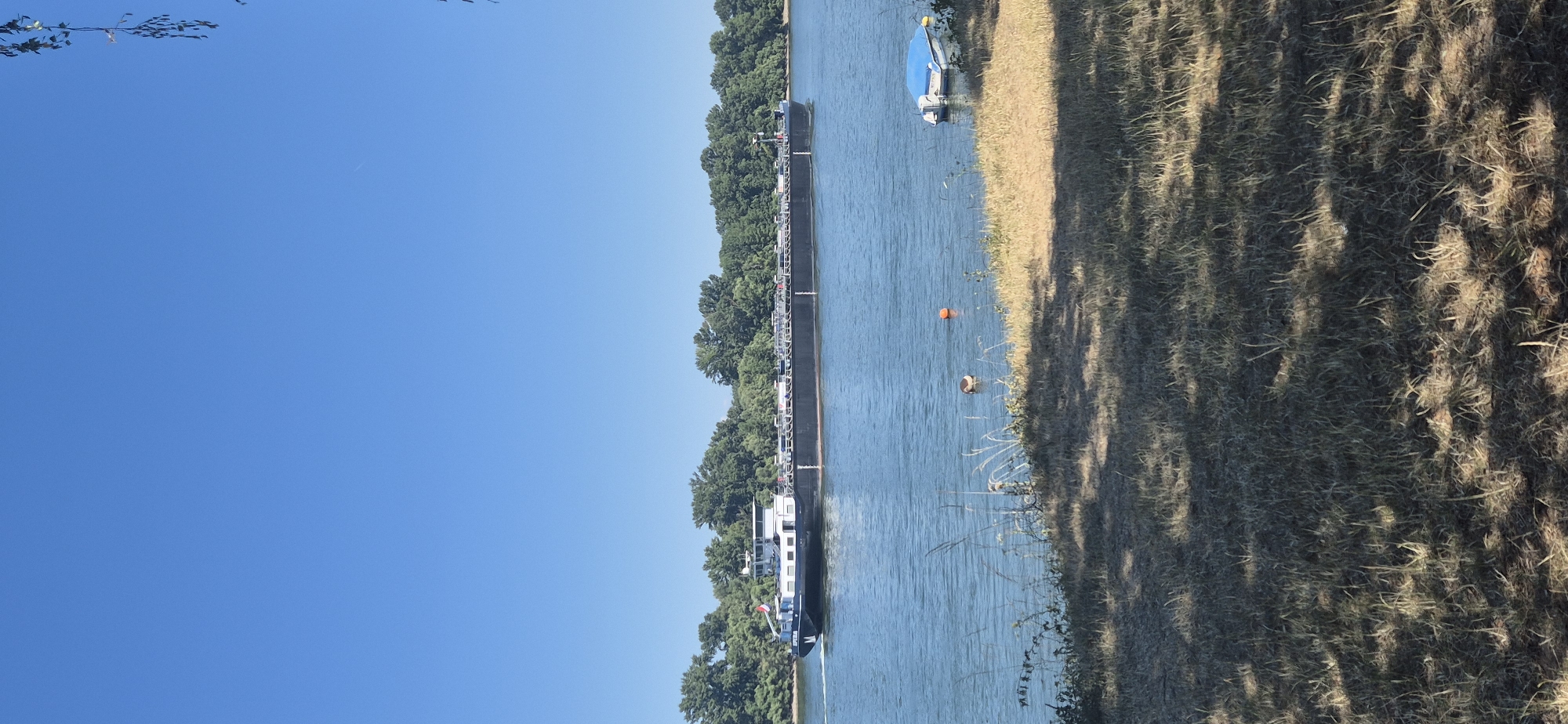 A barge, identified by the name "OPERA" visible on its hull, navigates a calm river under a clear blue sky. The barge, predominantly black with a white superstructure, is laden with numerous cylindrical tanks. On the left side of the barge, a Dutch flag is flown.
The river, likely the Rhine given the context of Mainz, Germany, shows gentle ripples. In the foreground, the riverbank is covered with dry, sun-drenched grass and sparse vegetation, with dappled shade cast by unseen trees.
Several objects are present in the water near the bank. One is a small white boat covered with a blue tarp, possibly moored or anchored. Further from the shore, two buoys are visible, one orange and the other dark, with a duck swimming nearby.
The background is dominated by a dense line of lush green trees, forming a natural border along the opposite bank of the river. The overall scene suggests a peaceful, sunny day in a riverside location.