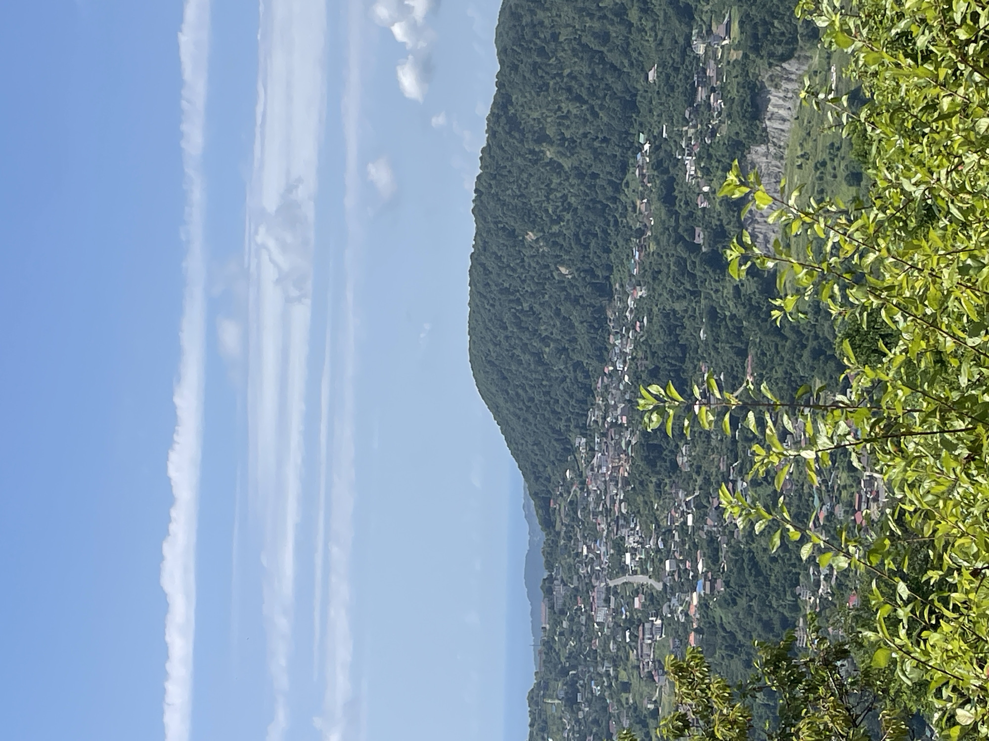 The image captures a panoramic view of a town nestled within a lush, green valley, likely Baranovka, Russia, as suggested by the context. The foreground is dominated by vibrant green foliage, with branches and leaves of trees creating a natural frame. In the midground, a densely populated settlement sprawls across the rolling hills, characterized by numerous buildings with red and white roofs. A winding road snakes through the town, indicating the presence of infrastructure. The background features a majestic, tree-covered mountain that rises steeply, its slopes densely forested. Beyond the mountain range, a hazy expanse of the sea is visible, meeting the clear blue sky dotted with soft, white clouds. The scene evokes a sense of tranquility and natural beauty, typical of a mountainous coastal region.