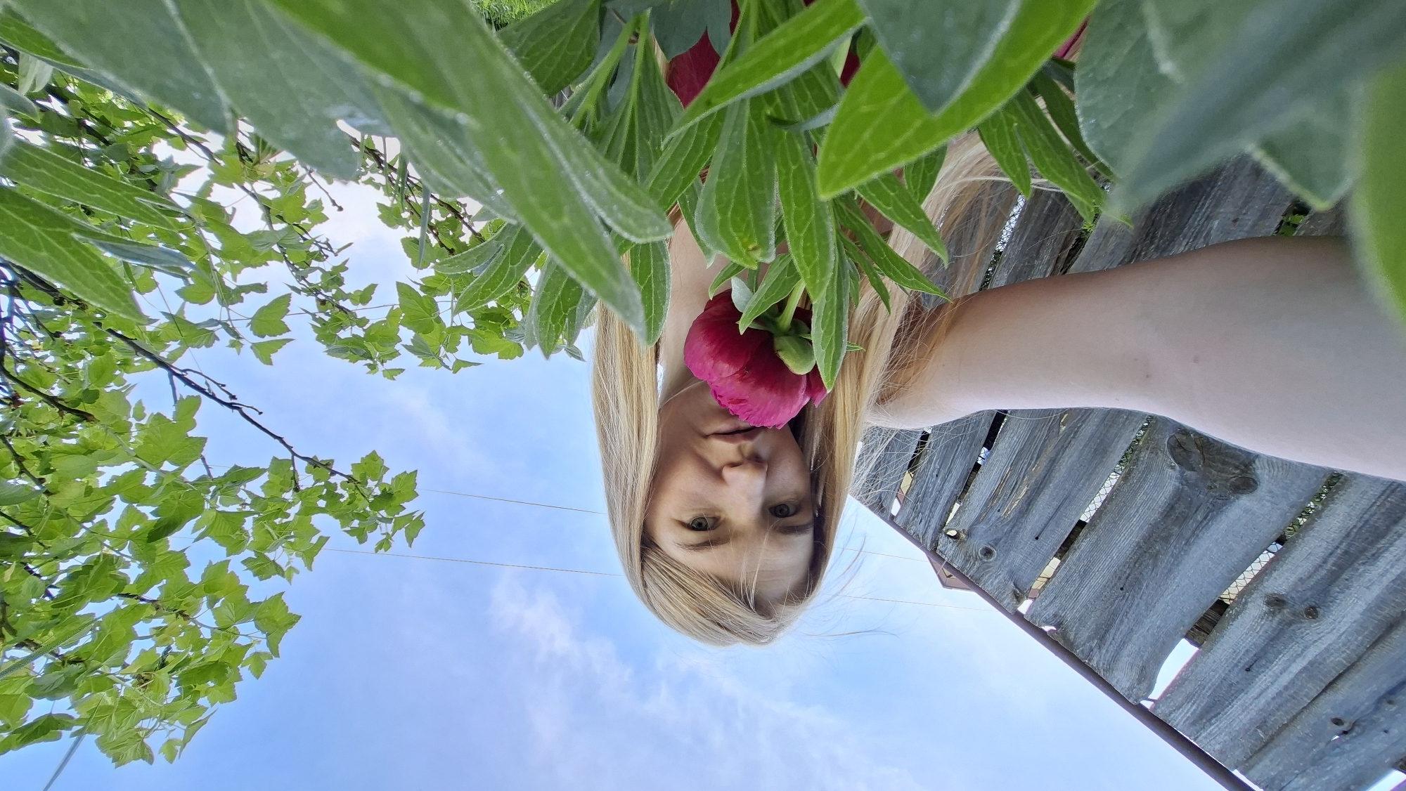 An image captured from an inverted perspective shows a fair-skinned person with long blonde hair at the bottom center, looking directly into the camera. They hold a vibrant red peony bud near their face, slightly obscuring their mouth and nose. Part of their arm is visible on the right side of the frame.
Above the person, lush green foliage forms a canopy, with individual leaves prominently displayed in the foreground. Beyond this foliage, a bright blue sky with wispy white clouds fills the mid-ground. Bare branches with green leaves are silhouetted against the sky on the left. On the right side, a weathered wooden fence or structure is visible, extending diagonally upwards.
The scene appears to be outdoors during daytime, under a clear sky, suggesting pleasant weather in Bolshoy Bukor, Russia. The person maintains a neutral expression. No text is visible in the image.