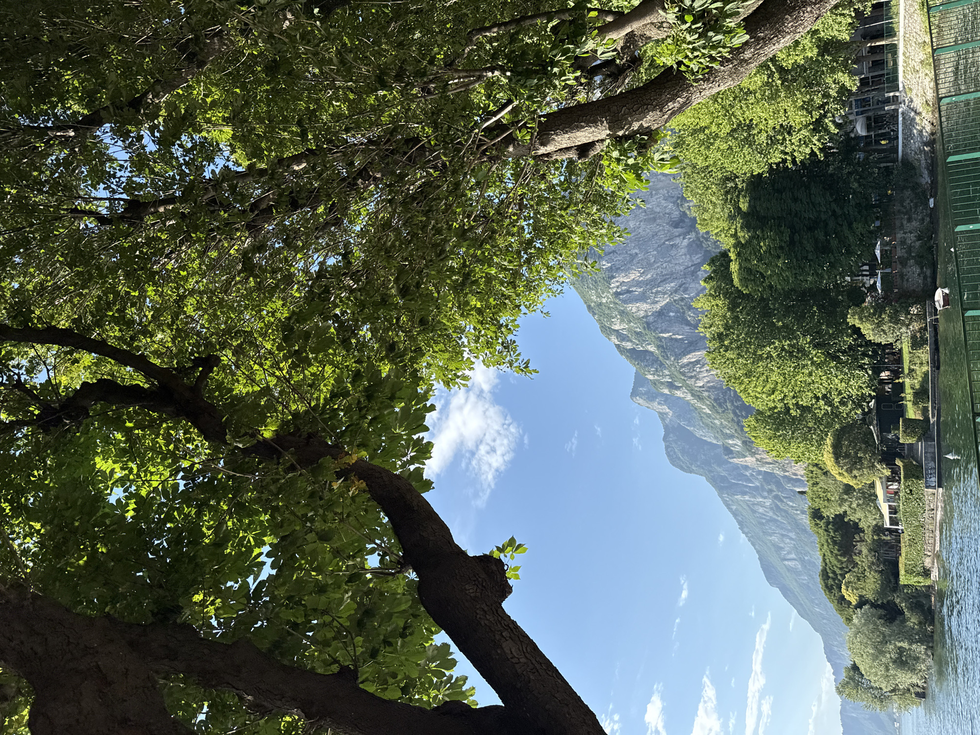 The image depicts a tranquil waterside scene framed by lush green trees. In the foreground, thick tree trunks and branches with vibrant green leaves dominate the upper portion of the frame, creating a natural canopy. Sunlight filters through the foliage, dappling the scene. Below the trees, a body of water, likely a lake or river, is visible, its surface rippling gently. Along the opposite bank, a strip of land is lined with a variety of trees, buildings with awnings, and a small gazebo. In the distance, a majestic, rugged mountain range rises steeply, its rocky slopes catching the light under a clear blue sky dotted with wispy white clouds. The overall impression is one of natural beauty and serene leisure.