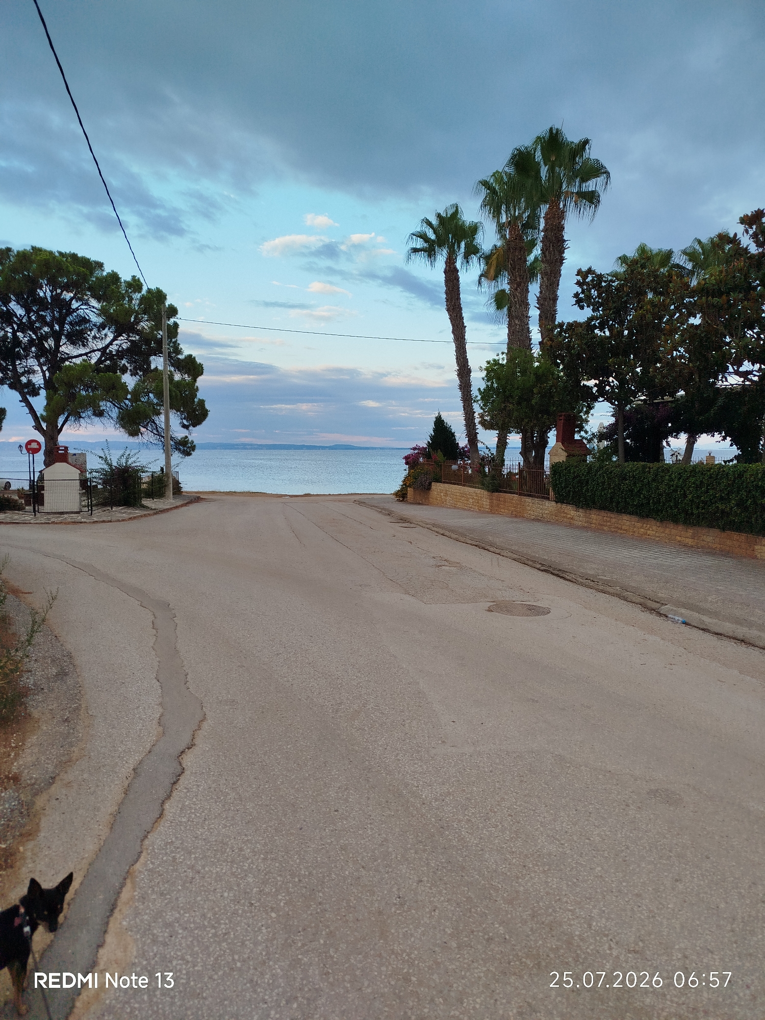 A paved road leads towards the sea in Sithonia Municipal Unit, Greece, under a cloudy sky. The road is flanked by vegetation, including palm trees and a large pine tree on the left. A small dog with a black coat is visible on the left side of the road, facing left. A short fence and some small structures are present on the right side of the road. The sea is calm and stretches to the horizon, with a faint line of land visible in the distance. The timestamp "25.07.2026 06:57" is visible in the bottom right corner.