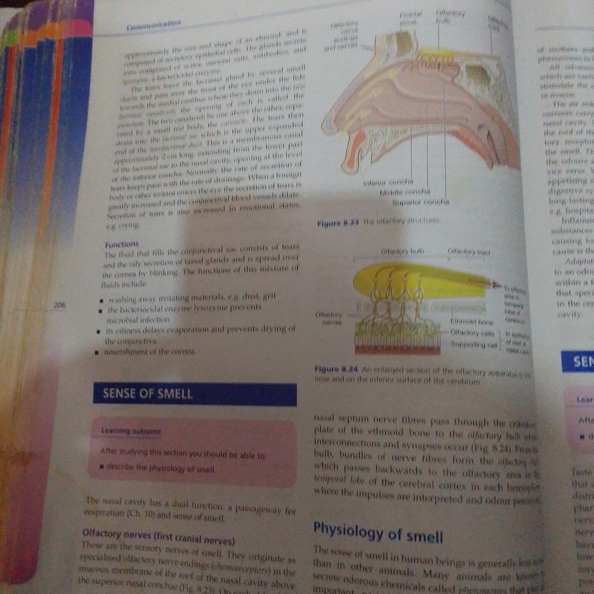 The image shows a close-up view of an open textbook page with diagrams of the human olfactory system. The text discusses the "Sense of Smell" and its physiological aspects. There are no elements in the image that suggest a location in Jalingo, Nigeria. The content is purely educational material related to biology.