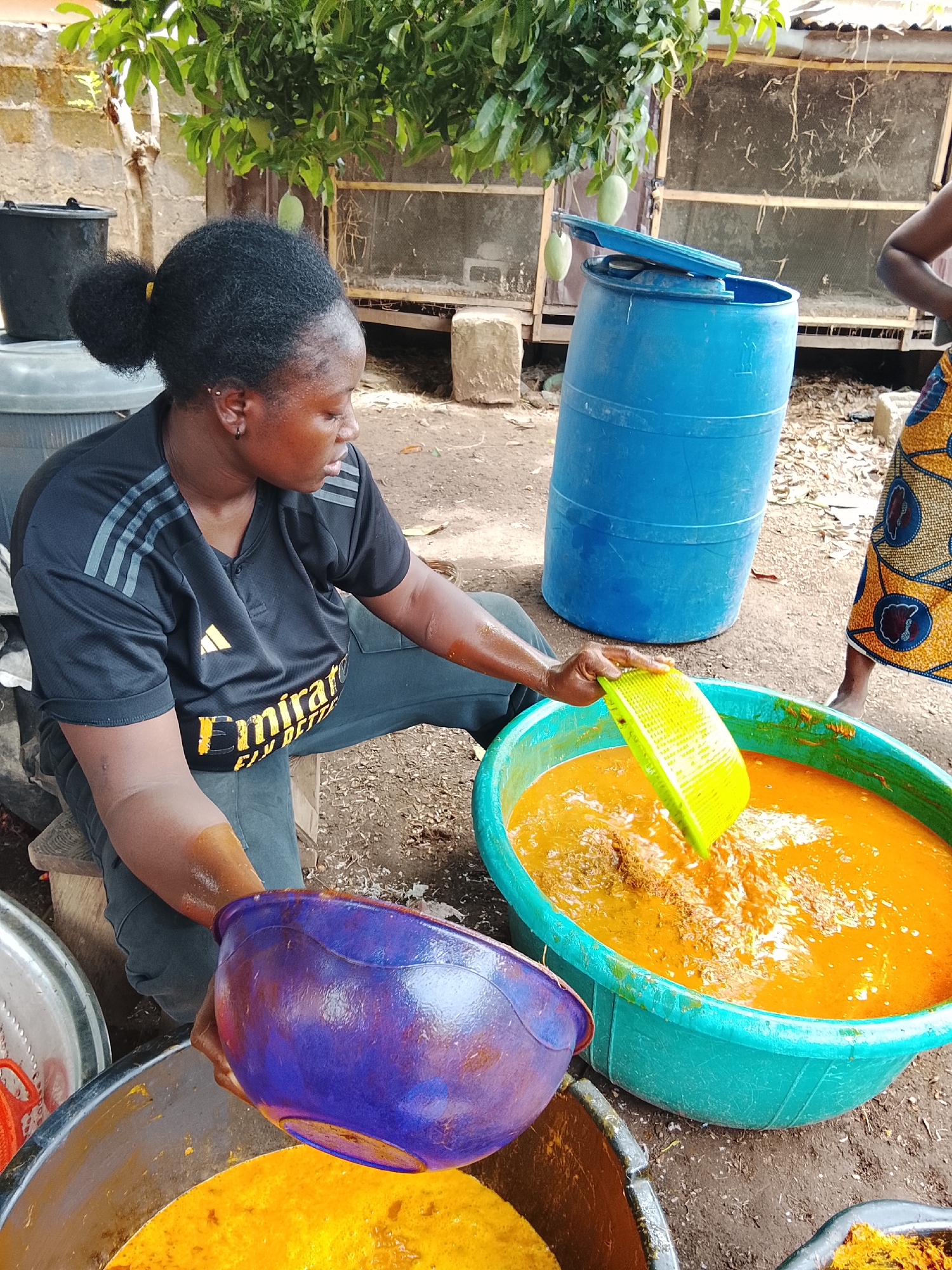 The image depicts a woman in Akwanga, Nigeria, engaged in food preparation outdoors. The woman, wearing a black shirt with a yellow logo and dark pants, is seated on a wooden stool. She is processing food in a large, light-green tub filled with an orange liquid. She uses a bright yellow grating tool. She is also holding a purple bowl over another large container filled with yellow liquid. A blue plastic barrel stands behind her. The environment appears to be a yard or outdoor workspace with trees visible in the background. Another person, wearing patterned clothing, stands partially visible on the right edge of the frame.