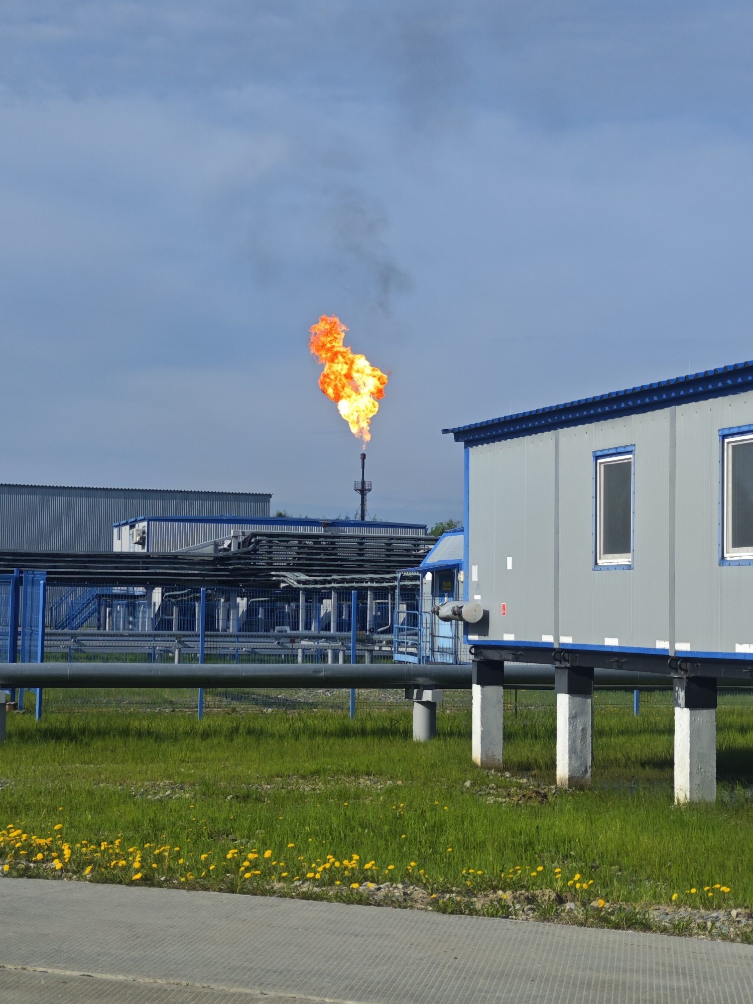 An outdoor, eye-level shot depicts an industrial facility under a bright, partly cloudy blue sky. The focal point is a tall flare stack positioned towards the center-left, emitting a large, vibrant orange flame with some dark smoke trailing upwards.
In the foreground to the right, there is a gray modular building with a blue trim along the roof and base, featuring two rectangular windows with dark panes. This building is elevated on white and black pillars. To the left of this, partially obscured, is another similar modular building.
Further into the background, behind the flare stack, more industrial buildings with corrugated metal siding are visible, alongside a complex network of pipes, blue metal supports, and railings, suggesting a processing or production site. A prominent gray pipe runs horizontally across the midground.
The ground is covered with lush green grass, and the immediate foreground features a strip of ground adorned with numerous bright yellow dandelion flowers. Below the dandelions, a textured gray paved or gravel area is visible. The lighting suggests it is daytime, likely a clear day. No discernible legible text is visible on any of the structures, though small red and white labels are present on the modular building. The scene depicts an active industrial operation, likely related to oil or gas, given the prominent flare.