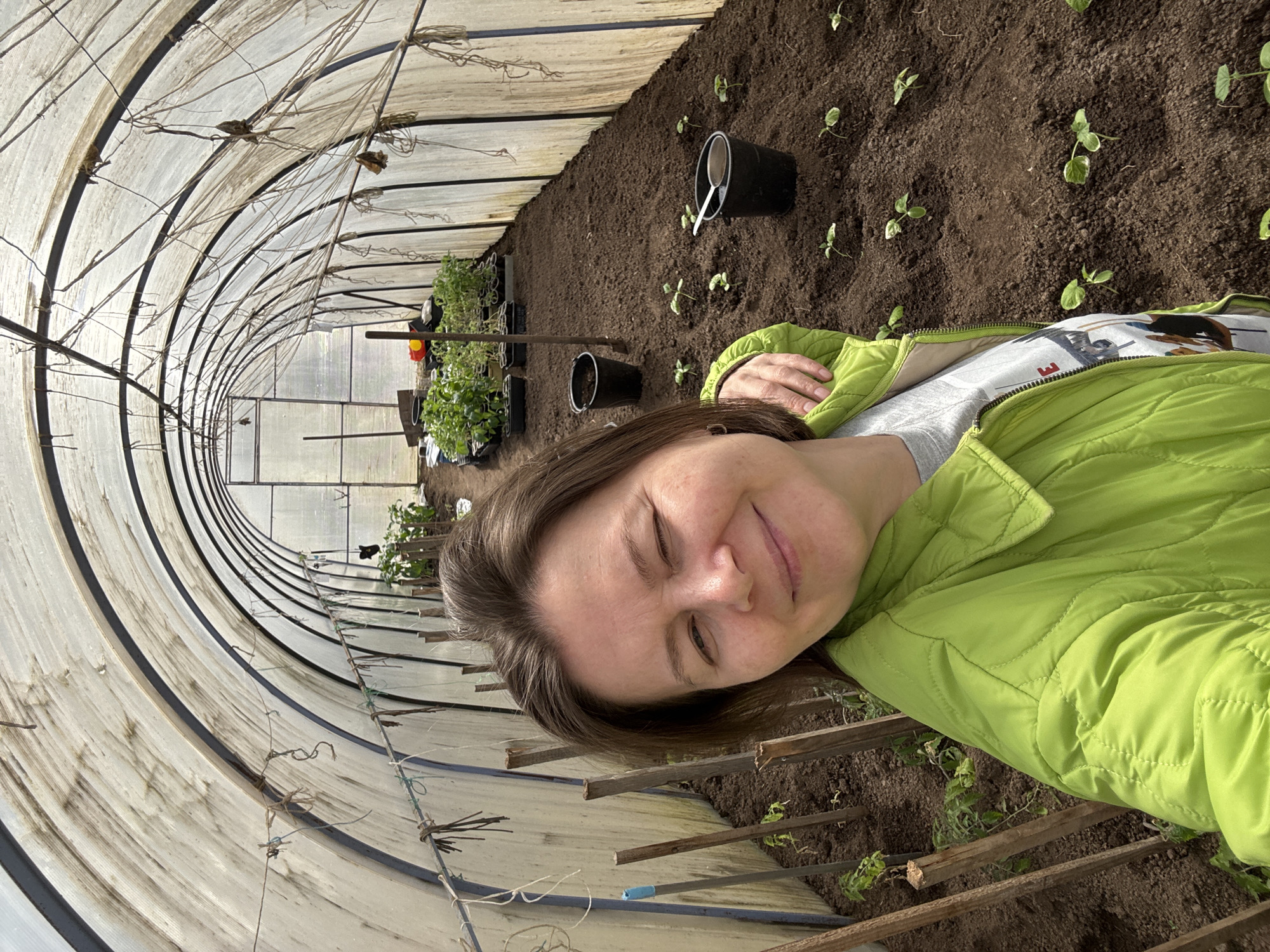 The image depicts a woman in a green jacket lying near a row of plants in a greenhouse in Перевозное, Russia. The greenhouse has a curved, transparent roof supported by a frame. Inside, plants are arranged in rows, some in the ground and some in black plastic containers. A spoon is visible in one of the containers. Wooden slats are lying on the ground near the woman.