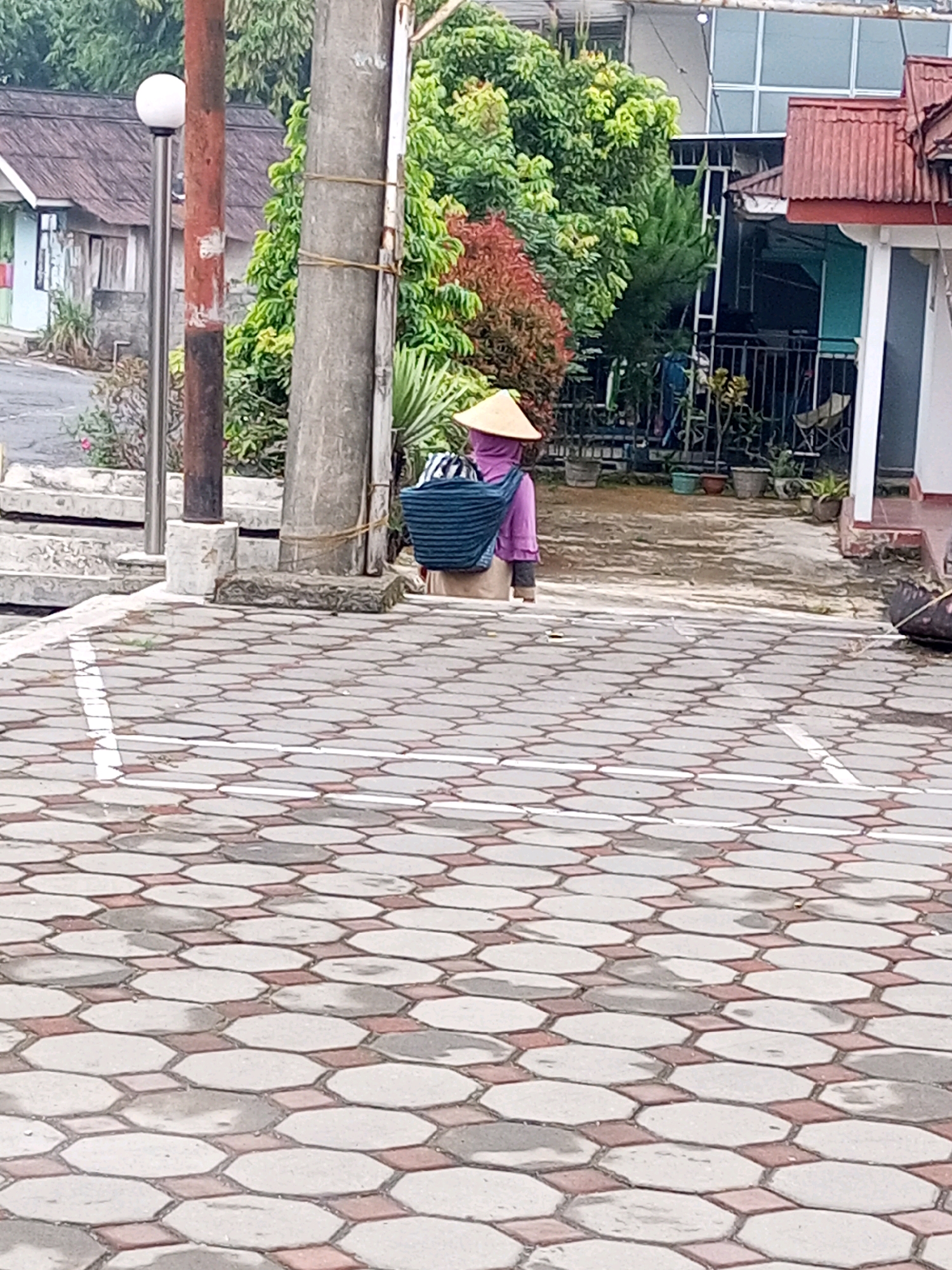 In Keseneng, Indonesia, a person wearing a conical straw hat and a purple long-sleeved shirt is walking away from the camera on a paved pathway. They are carrying a large, dark-colored woven bag on their back. The pathway is made of hexagonal and square paving stones. In the background, there are trees, a lamppost, a utility pole, and part of a building with a red tiled roof. A staircase is visible to the left, and a fence with potted plants is to the right. The overall scene appears to be an outdoor, possibly residential or public area.