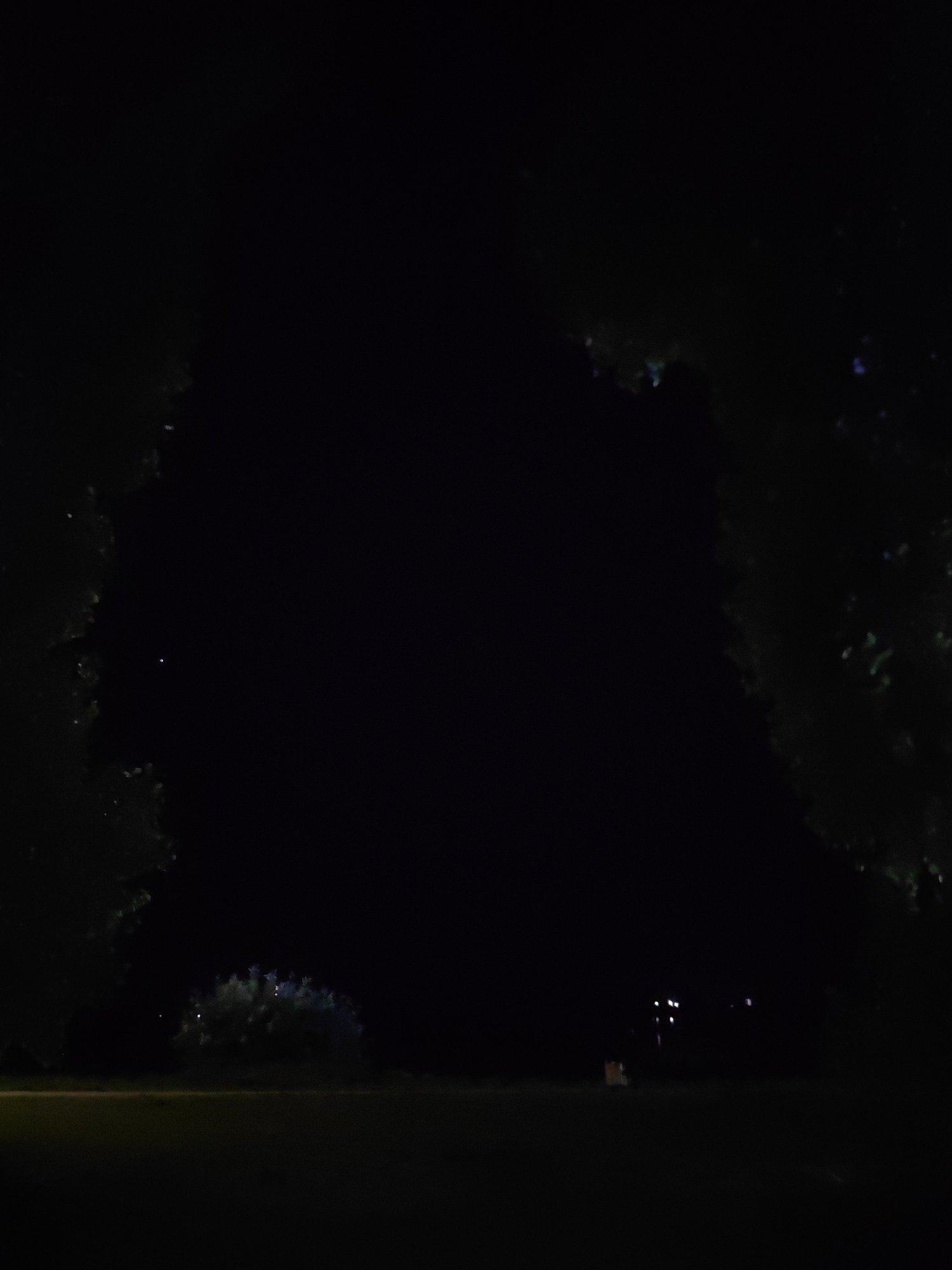 The image depicts a dark, outdoor scene, likely at night. The foreground shows a patch of dark grass. In the middle ground, there is a cluster of bushes with some illuminated foliage, possibly from artificial lighting or bioluminescence. Further in the distance, there are faint, blurred lights, suggesting man-made structures or streetlights. The sides of the image are framed by dark, silhouetted foliage, hinting at trees. The overall impression is of a dimly lit, natural or semi-natural area within a city, possibly a park or the outskirts. The specific location in Myadzyel, Belarus is not discernible from the visual elements alone.