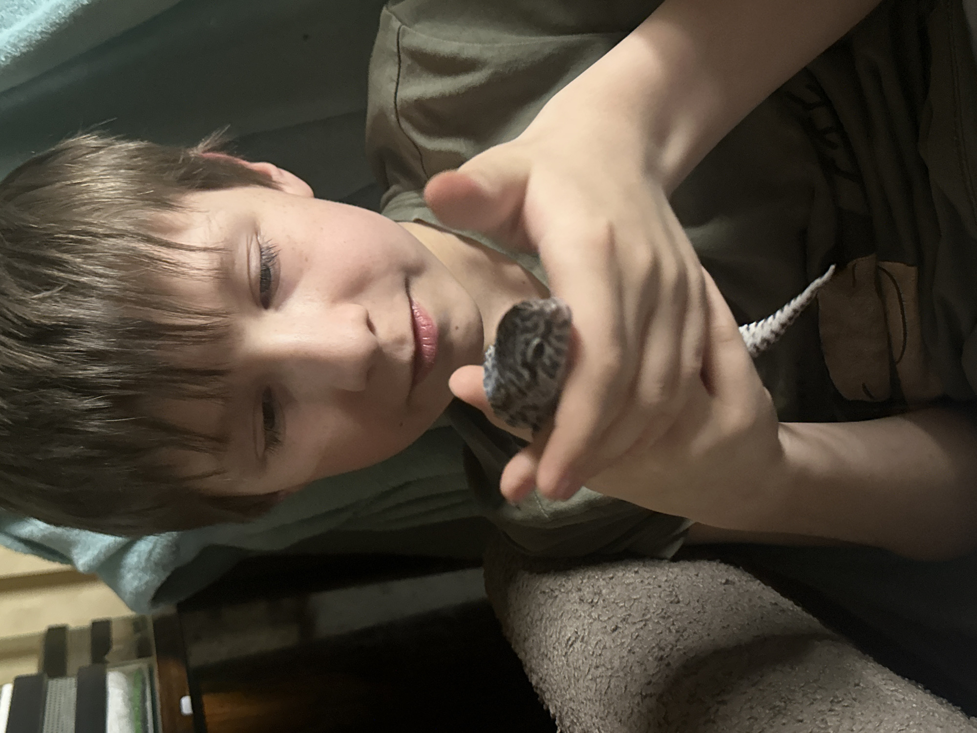 A fair-skinned boy with short brown hair is holding a leopard gecko in his hands. He is looking at the gecko with a slight smile. The gecko is gray and black with a white tail. The boy is wearing a green t-shirt. The background is blurry. The location is not Moscow, Russia.