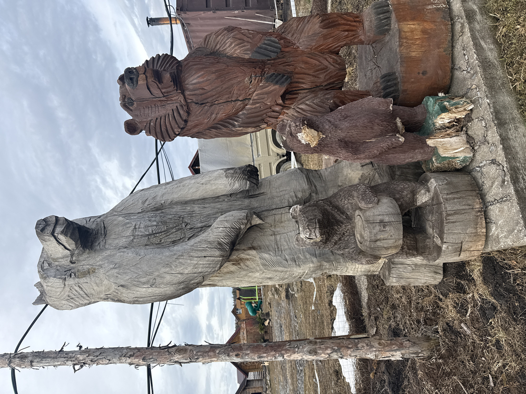 The image depicts an outdoor scene in Tyulyuk, Russia, featuring a collection of wooden bear carvings under an overcast sky. In the foreground, from left to right, a tall, debarked wooden pole supports multiple black utility wires. Adjacent to it, a large, light grey-brown wooden bear carving stands upright, accompanied at its base by a smaller, similarly colored bear cub carving holding a log. To the right, a large, dark brown wooden bear carving also stands upright, with a smaller, partially damaged dark brown bear cub carving positioned at its base, showing exposed light wood on its snout and a broken green-painted base. All carvings are situated on concrete slabs or directly on uneven, muddy ground sparsely covered with dry vegetation and small patches of melting snow.
In the mid-ground, a low wire fence spans the scene. Beyond this, several rustic wooden buildings or cabins with various roof colors are visible. A children's play area includes a green slide and a trampoline with a green safety net. Further in the background, a light-colored canvas-covered truck or trailer is partially visible. On the far right, a large, dark brown corrugated metal shipping container stands, with a metal chimney extending upwards from an unseen structure nearby. Hand tools, including shovels, lean against the container. The overall environment appears rural or semi-rural, suggestive of an early spring or late autumn setting.