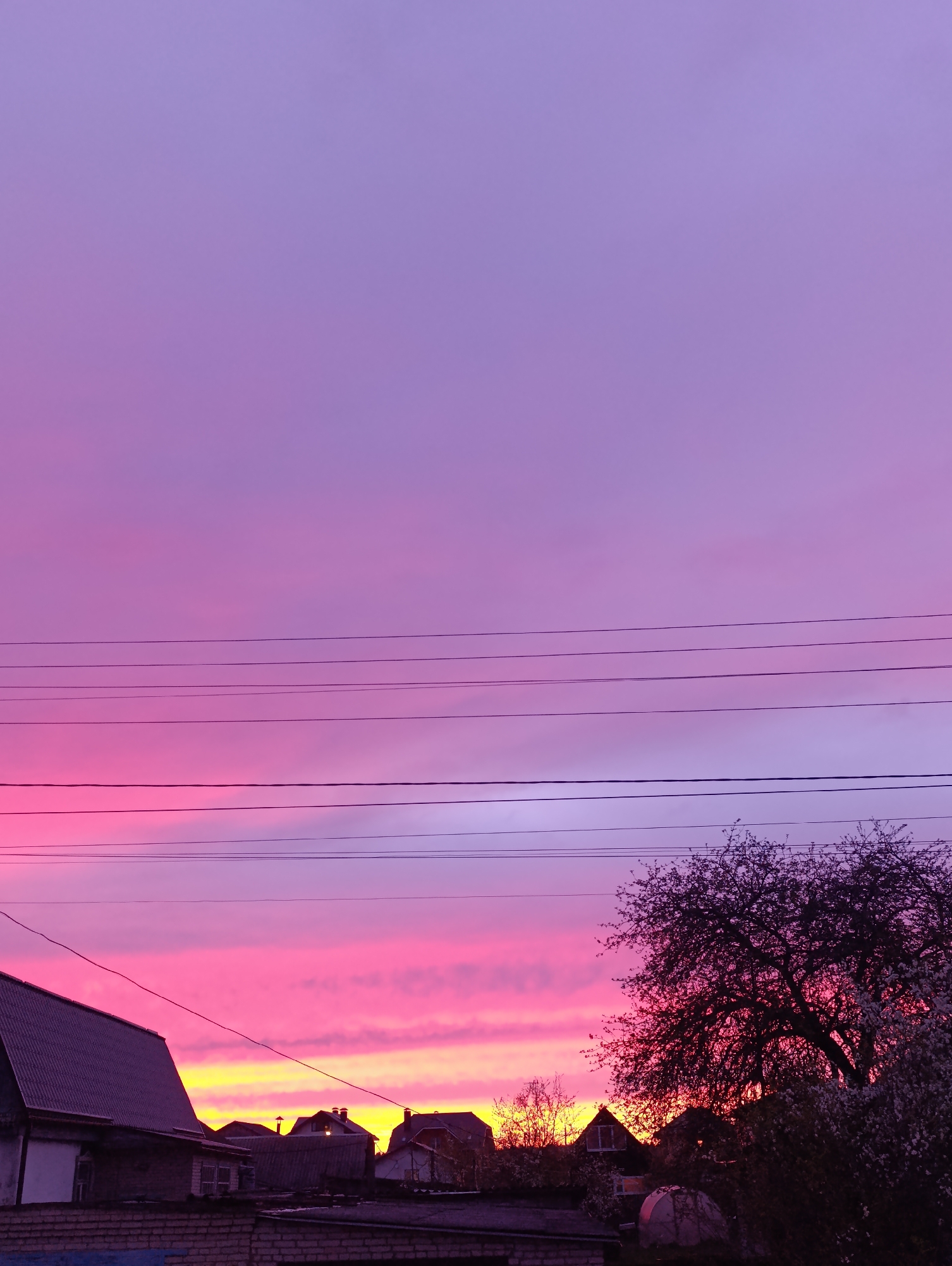 Captured at dusk in an urban setting, the image features a vibrant, multi-hued sky as its dominant feature. The sky transitions from a deep purple at the top to shades of pink and a strip of golden yellow near the horizon. Silhouetted against this backdrop are rooftops of houses, trees, and telephone wires. The location appears to be a residential area, likely a suburb or outskirts of a city. The time of day is either late evening or early morning, as the sky displays colors associated with sunrise or sunset.