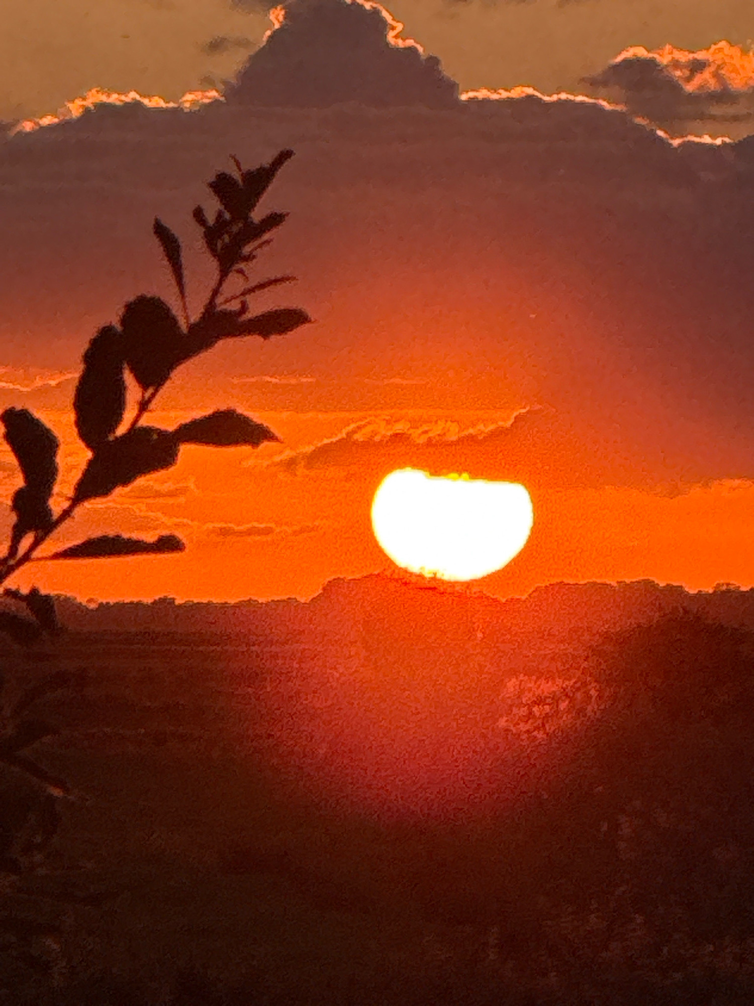 A photograph captures a silhouetted branch with leaves against a vibrant sunset. The sun, a bright white disc, is partially obscured by clouds and the horizon, casting an intense orange glow across the sky. The landscape below is dark and indistinct, suggesting a rural or coastal setting, possibly near Great Yarmouth, United Kingdom, given the context of the query. The clouds are tinged with orange and dark grey, creating a dramatic contrast with the bright sun.
