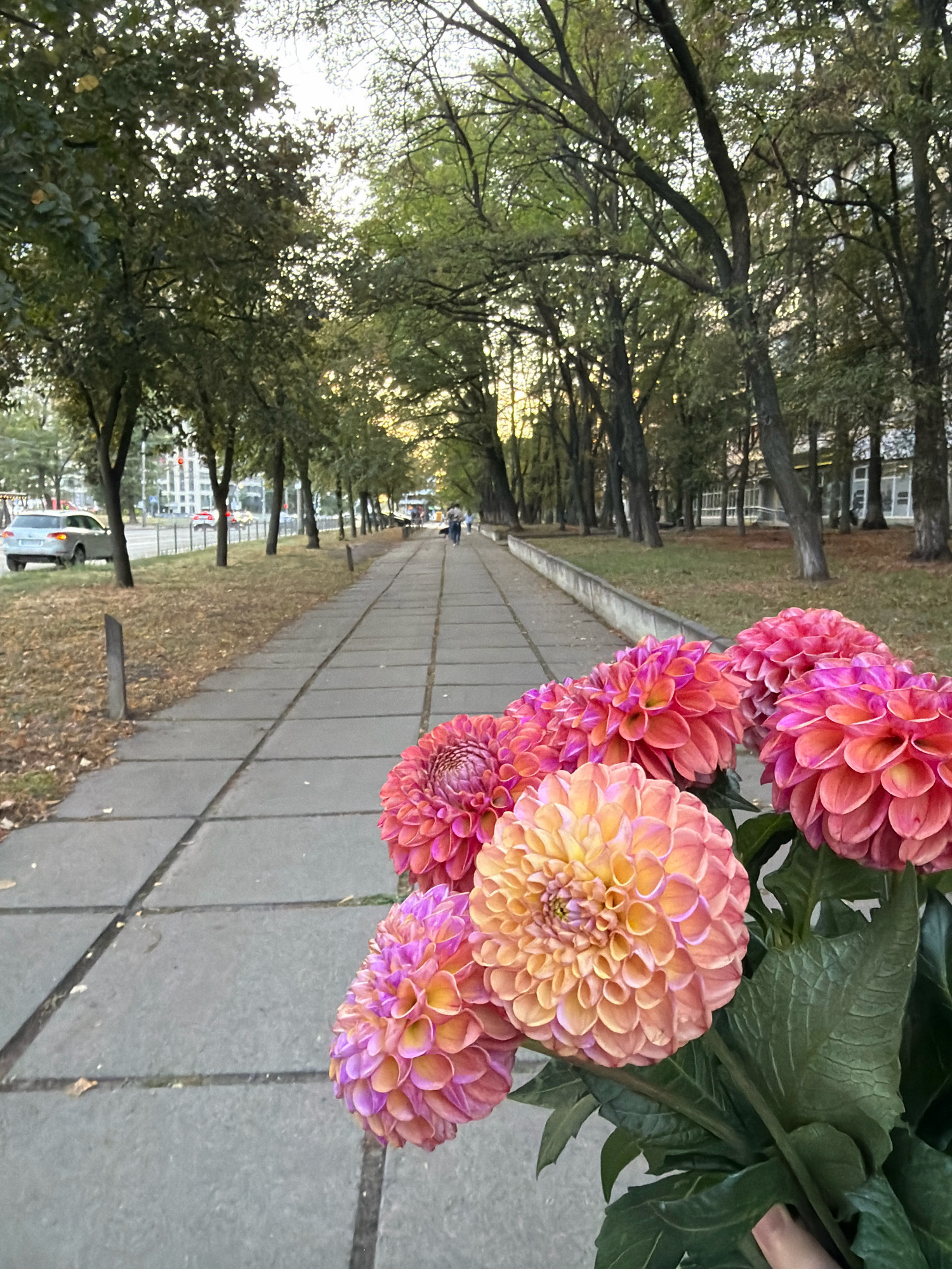 The image depicts a bouquet of dahlias with vibrant pink and orange petals in the foreground, held by a person's hand. The dahlias are arranged in front of a paved pedestrian walkway that stretches into the distance. The walkway is lined with trees, some of which have fallen leaves on the ground, suggesting it might be autumn. Beyond the trees, there are buildings and a road with cars. The scene appears to be a city park or a tree-lined street in Kyiv, Ukraine. The sky is visible through the tree canopy, with sunlight filtering through.