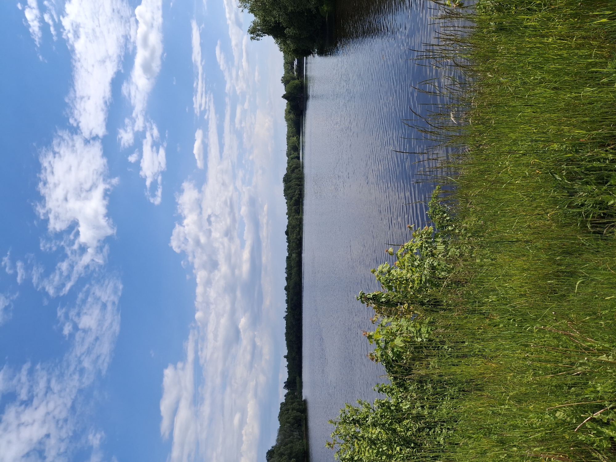 The image presents a serene natural landscape, oriented vertically, depicting a wide body of water, likely a river or canal, under a bright blue sky. The sky, occupying the upper portion of the frame, is dotted with scattered, fluffy white cumulus clouds, indicating clear and pleasant weather.
The calm water, which appears dark blue or grey, stretches horizontally across the middle of the scene and shows gentle ripples on its surface, reflecting the light. On the immediate right bank, lush green grass and dense bushes dominate the foreground, extending down to the water's edge. Some taller, reedy grasses with seed heads are visible among the foliage.
Along the opposite bank, a continuous line of trees forms a dark green treeline that extends into the distance, suggesting a forested or heavily vegetated area bordering the waterway. The scene is devoid of any visible human activity or structures, emphasizing its natural tranquility. The time of day appears to be daytime, with ample sunlight illuminating the landscape. The overall impression is one of peaceful nature. The location context provided is Sillamäe linn, Estonia. There is no visible text in the image.
