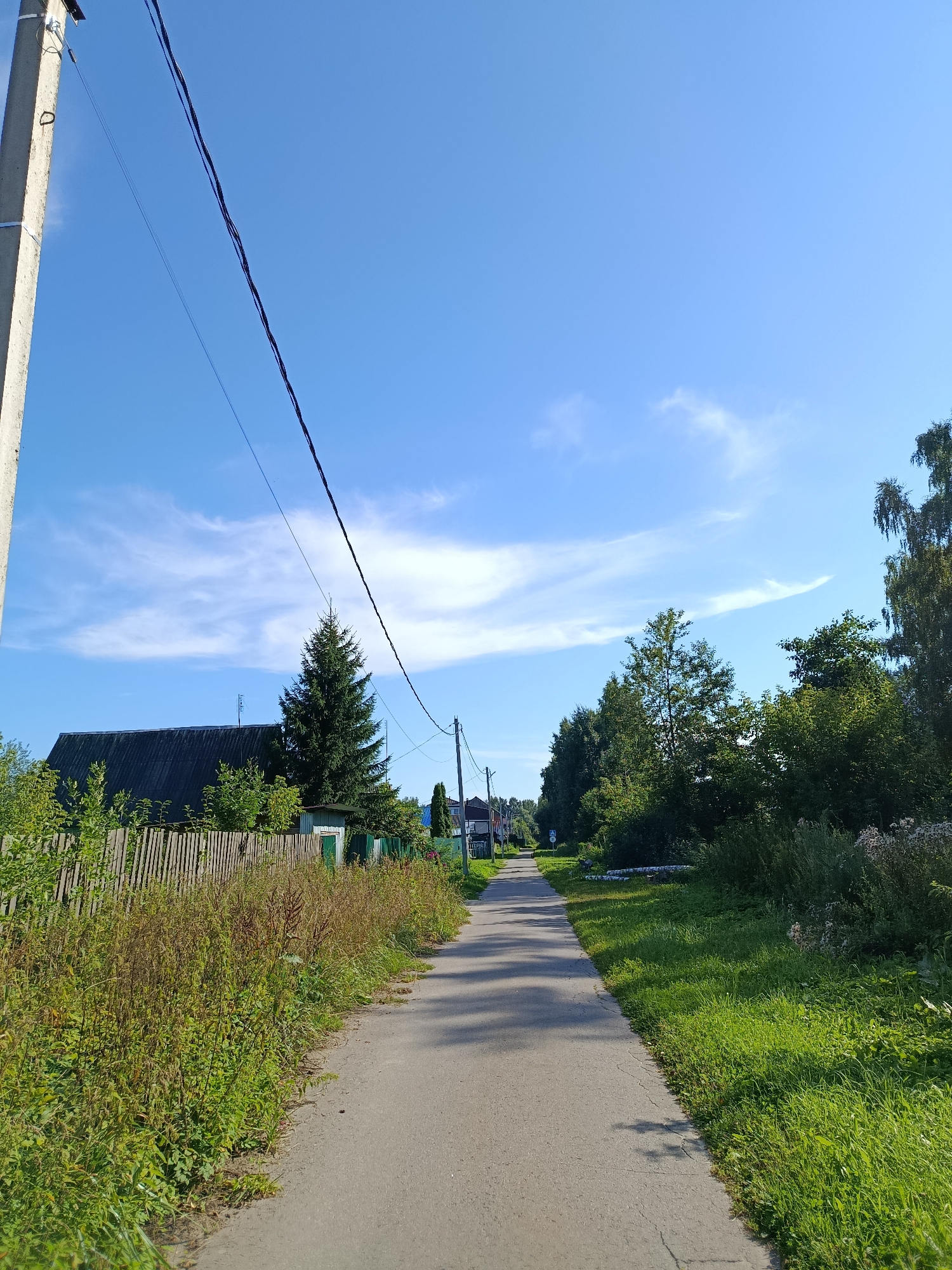 The image depicts a sunny day in the city of Vereya, Russia, with a clear blue sky and sparse white clouds. A paved road, likely a rural street or lane, extends into the distance, flanked by lush green grass and various trees. On the left side of the road, a wooden fence runs along a property with a dark-roofed house and a tall evergreen tree. A concrete utility pole with wires is visible on the far left. On the right side, dense foliage and trees form a natural barrier. Several houses are visible further down the road, suggesting a residential area. The overall scene conveys a tranquil, pastoral atmosphere typical of a small Russian town in the summertime.