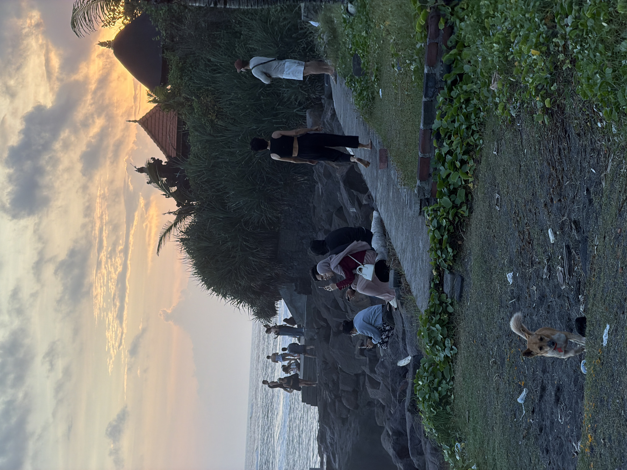 The image depicts a sunset scene near a temple in Mengwi, Indonesia. The sky shows a blend of orange and gray hues. A path leads along a cliff edge where various people are standing and looking out over the ocean. Some people are taking photos. A dog stands on the grassy area beside the path. There's dense vegetation, with what appears to be trash scattered near the grass and cliffs. A temple structure is partially visible near the left of the image.