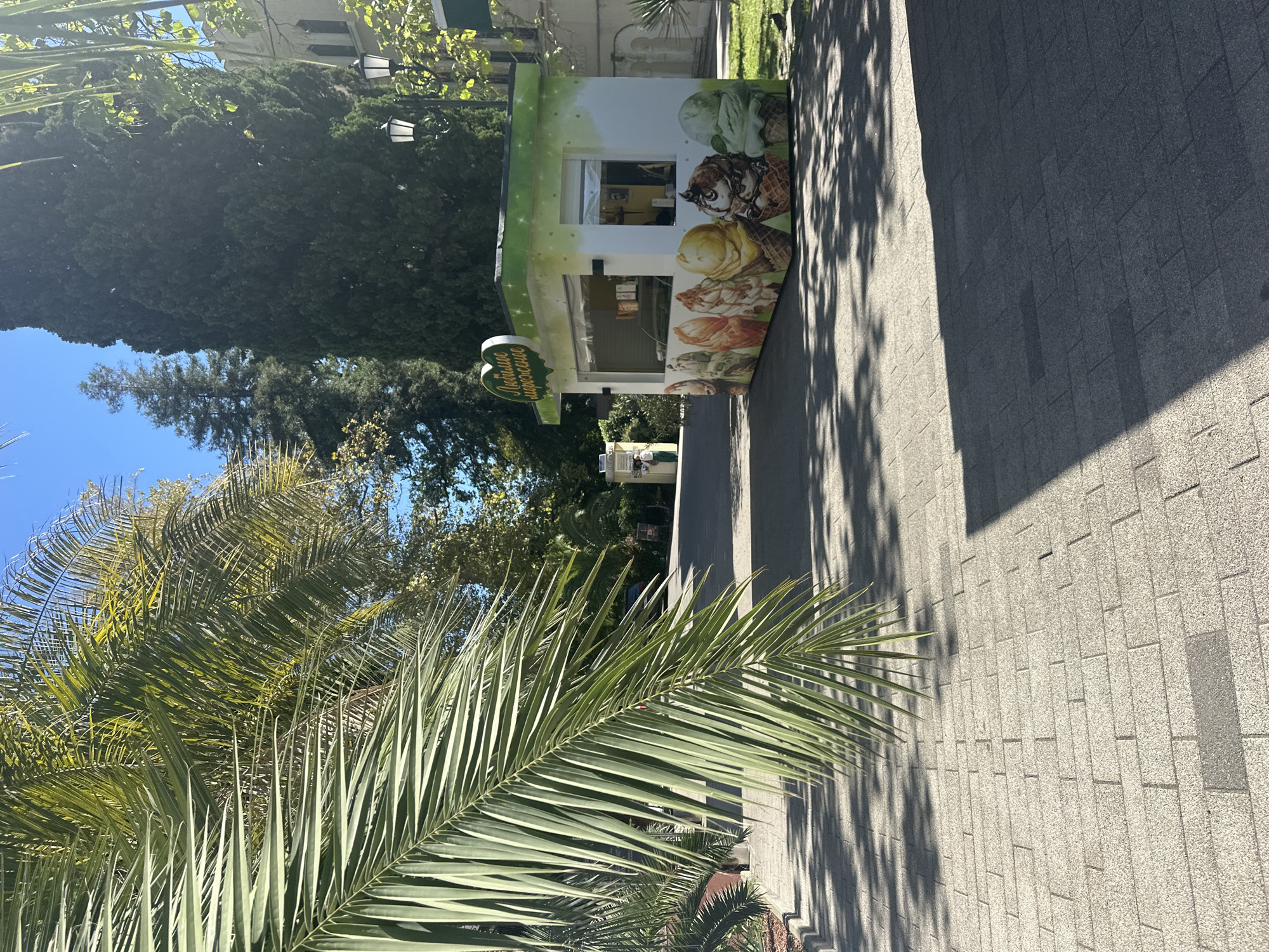 The image depicts a sunny day in Sochi, Russia, with a view of an ice cream kiosk on a paved walkway. The kiosk is white with green trim and adorned with colorful illustrations of ice cream cones. Palm fronds from a nearby tree partially obscure the view on the left side of the frame. In the background, tall cypress trees and a building with arched windows can be seen. A lamppost with two lights stands to the right of the kiosk. The ground is paved with interlocking stone tiles, and shadows from trees are cast across the walkway.