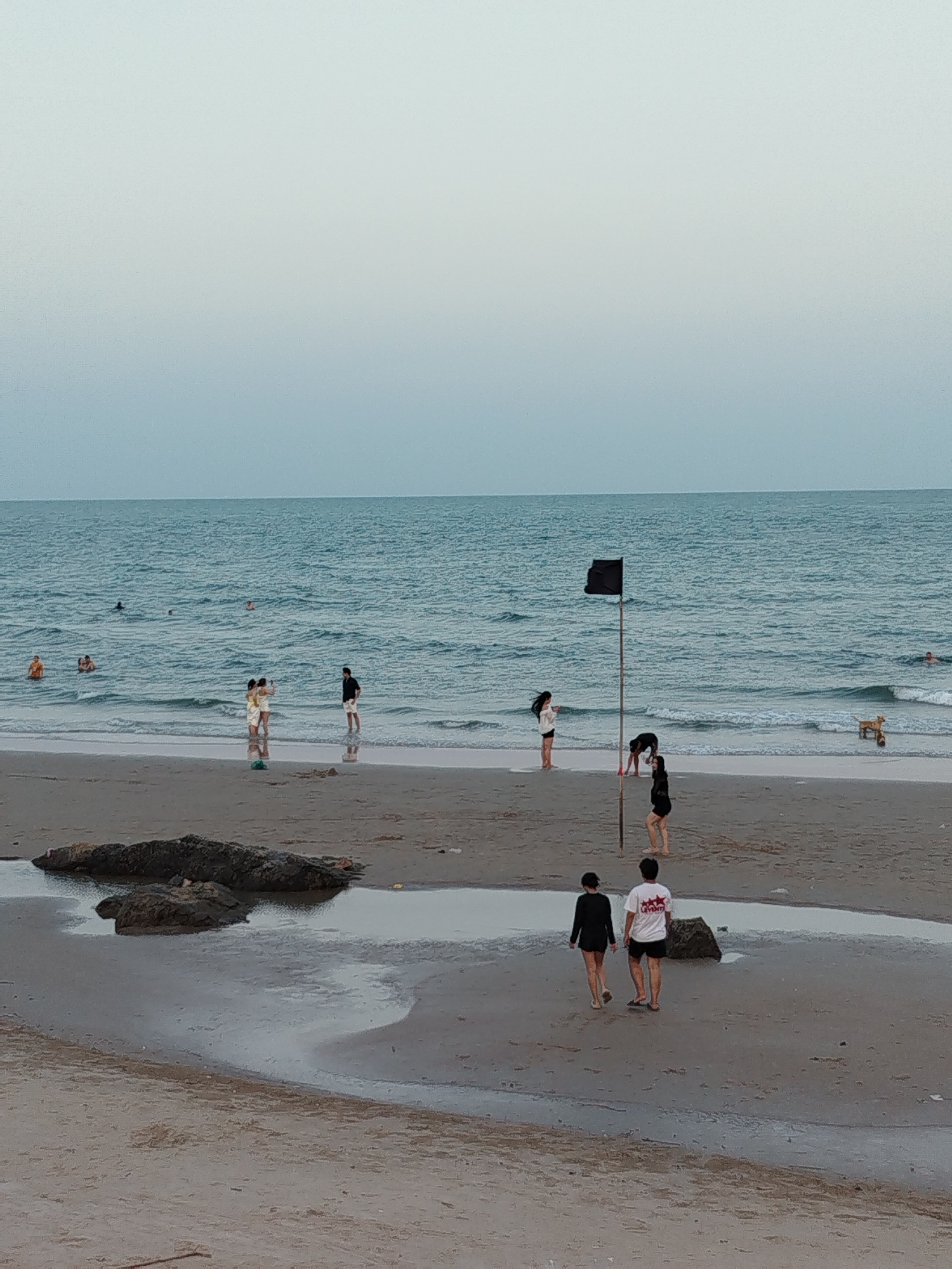 A wide-angle shot depicts a beach with several people and various objects. The sky is a pale blue, blending into the horizon. The sea is a deeper blue with gentle waves.
In the sea, there are multiple individuals either swimming or wading in the water. Closer to the shore, a small group of people are gathered, possibly interacting. There is also a dog in the water.
A black flag on a pole stands on the beach. A person is bent over near the flag.
A couple is walking on the beach in the foreground. A puddle with rocks is nearby.
The location is not explicitly stated to be in Ho Chi Minh City, Vietnam, and there are no visual cues that confirm this.