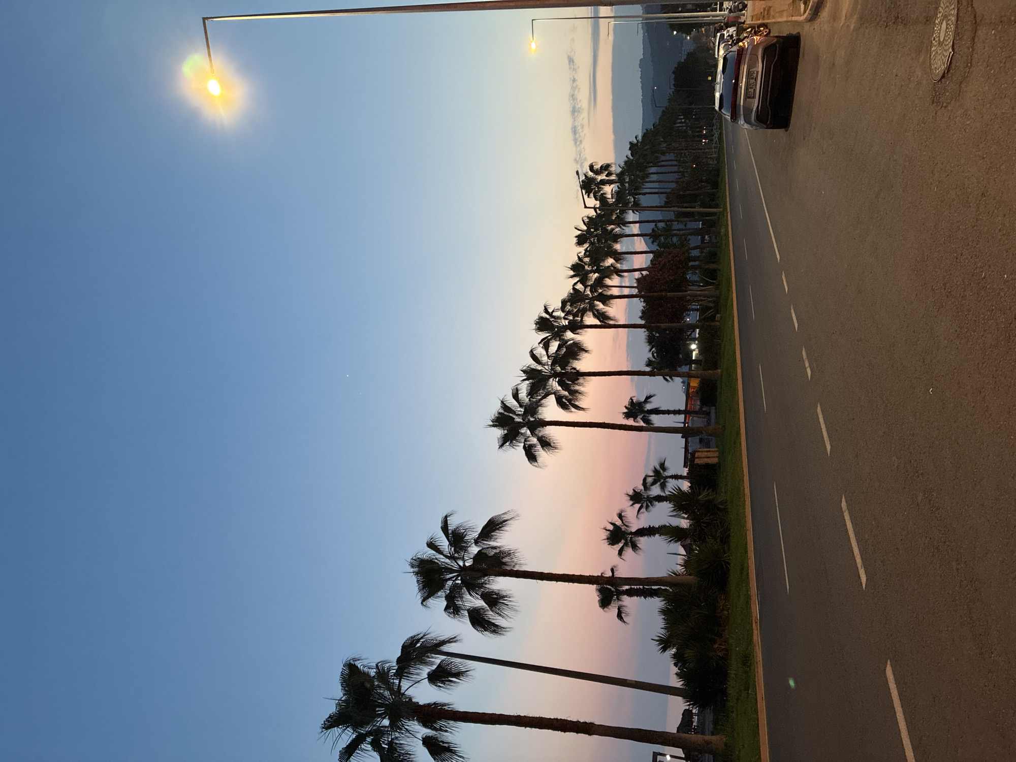 The image depicts a road lined with palm trees in Alanya, Turkey, during twilight. The sky displays a gradient of blue, pink, and orange hues, indicating either sunrise or sunset. Several tall palm trees are visible on the left side of the road, with a row of shorter palm trees extending into the distance on the right. A street light illuminates the right side of the image, casting a warm glow. The road itself is paved and marked with white dashed lines. A silver car is parked on the right side of the road near the curb, with other vehicles partially visible behind it. The environment appears to be a well-maintained urban area, possibly a coastal promenade or boulevard. No people are clearly visible in the image.