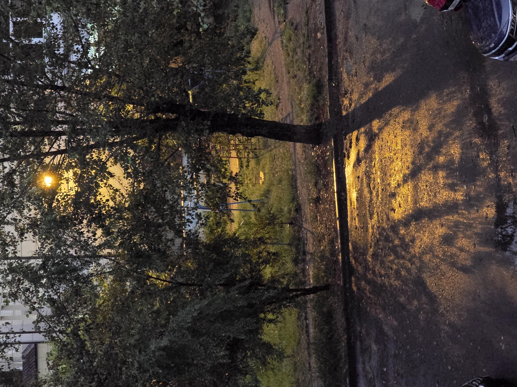 The image depicts an outdoor scene at dusk, possibly in Krasnoyarsk, Russia. A large tree with dark green foliage dominates the left side of the frame, with its branches obscuring part of a light-colored building behind it. A bright, warm light source, likely a street lamp, is visible through the leaves of the tree, casting a glow. The ground in the foreground is a dark, wet asphalt surface reflecting the orange light, creating dappled patterns and casting a long shadow from a tree trunk. Further in the background, a dirt path winds through grassy areas, with what appear to be simple metal structures, possibly part of a playground or fence. The overall mood is somewhat subdued, with the dim light and wet ground suggesting either recent rain or approaching nightfall. The perspective is from a slightly elevated position, looking down and across the scene. The upper right corner of the image shows a portion of a dark-colored motorcycle helmet with white and silver trim. No people are visible in the frame.