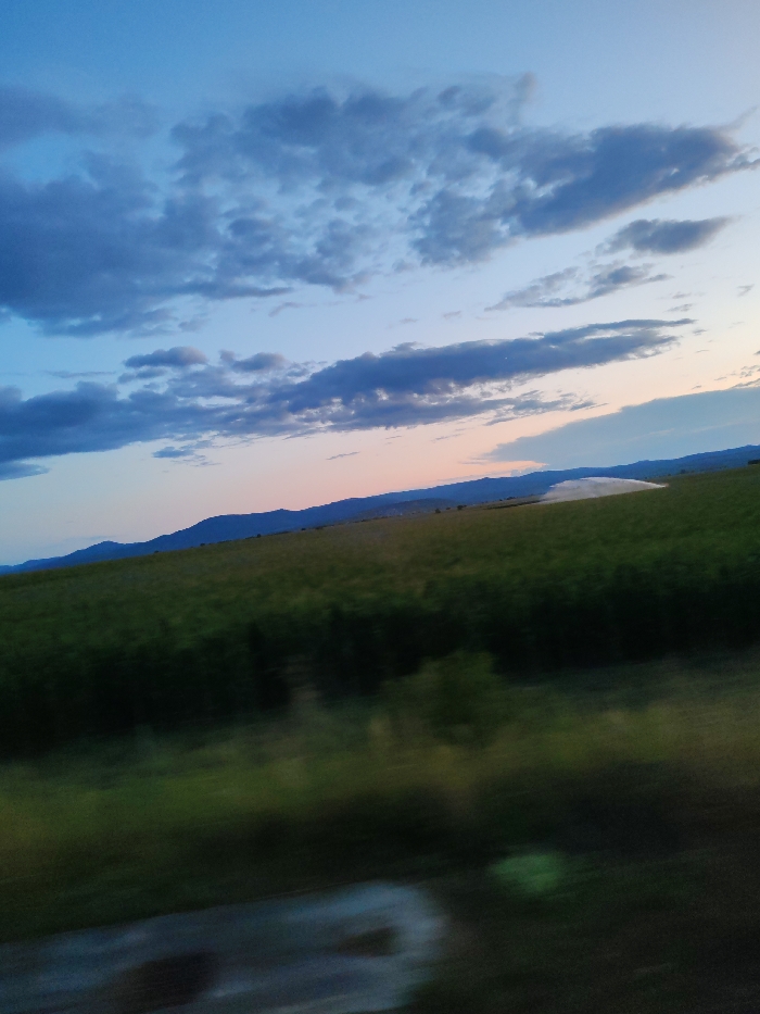 This image captures a rural landscape at dusk or dawn in Duttlenheim, France. The scene is dominated by a expansive green agricultural field, likely containing crops, extending from the blurred foreground to a distant horizon. A prominent irrigation system, evidenced by a large white plume of water spraying upwards and outwards from the field, is active on the right side of the midground. Beyond the field, a range of dark, undulating hills or mountains form the distant horizon line. The sky exhibits a gradient, transitioning from a light pink and orange hue near the horizon, indicative of twilight, through light blue, to a darker blue overhead. Scattered grey and blue-grey clouds are present throughout the sky. The immediate foreground shows significant motion blur, suggesting the image was captured from a moving vehicle, with dark green vegetation and a dark, possibly wet, surface visible at the bottom left. No individuals are present in the scene.