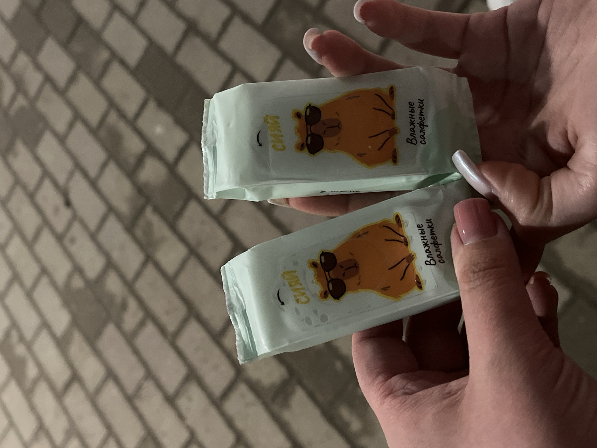 A person's hands hold two small packages of wet wipes. Each package has a cartoon image of a capybara wearing sunglasses. The text on the packages is in Russian. The background shows a brick-paved surface. The location appears to be an outdoor space in an urban area, city and state are unknown.