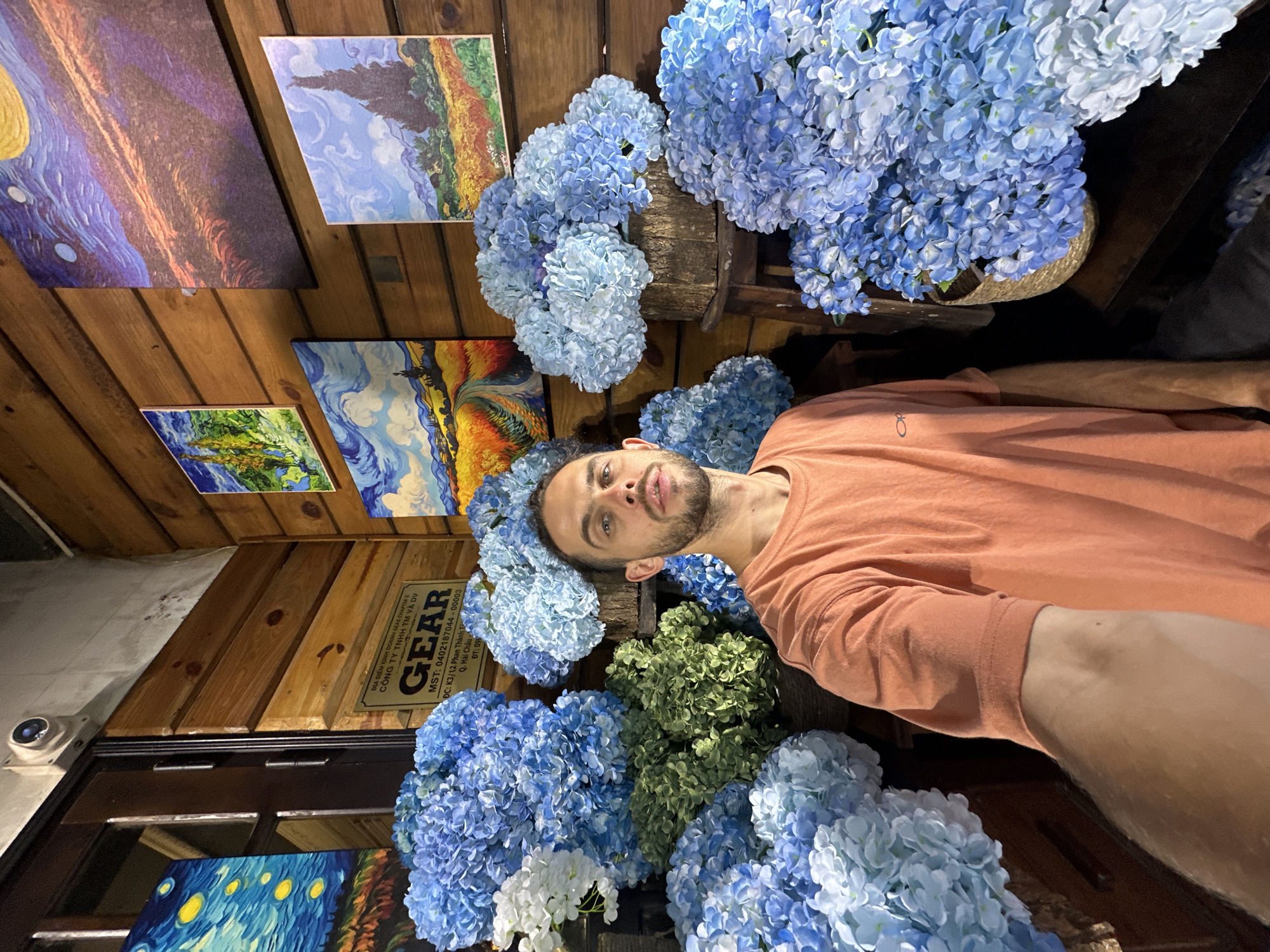 This is a vertically oriented, eye-level, medium shot selfie of a person lying down amongst large floral arrangements. The person, a man with short brown hair and a beard, is wearing an orange long-sleeved shirt and appears to be looking at the camera with a neutral expression. He is positioned in the lower half of the frame, with his head towards the top and his arm extending towards the right. The background consists of a wooden paneled wall adorned with several paintings, possibly reproductions of famous artworks. These paintings depict landscapes with vibrant colors and distinctive brushwork. Large clusters of blue and green hydrangeas are arranged around the person, some in woven baskets, creating a lush, floral atmosphere. A sign with Vietnamese text, including "GEAR," is also visible on the wooden wall. The lighting appears to be artificial, casting soft shadows and highlighting the textures of the flowers and wood. The scene suggests an indoor setting, possibly a shop or a display area decorated with artwork and flowers. The text on the sign provides specific location details within Đà Nẵng, Vietnam.