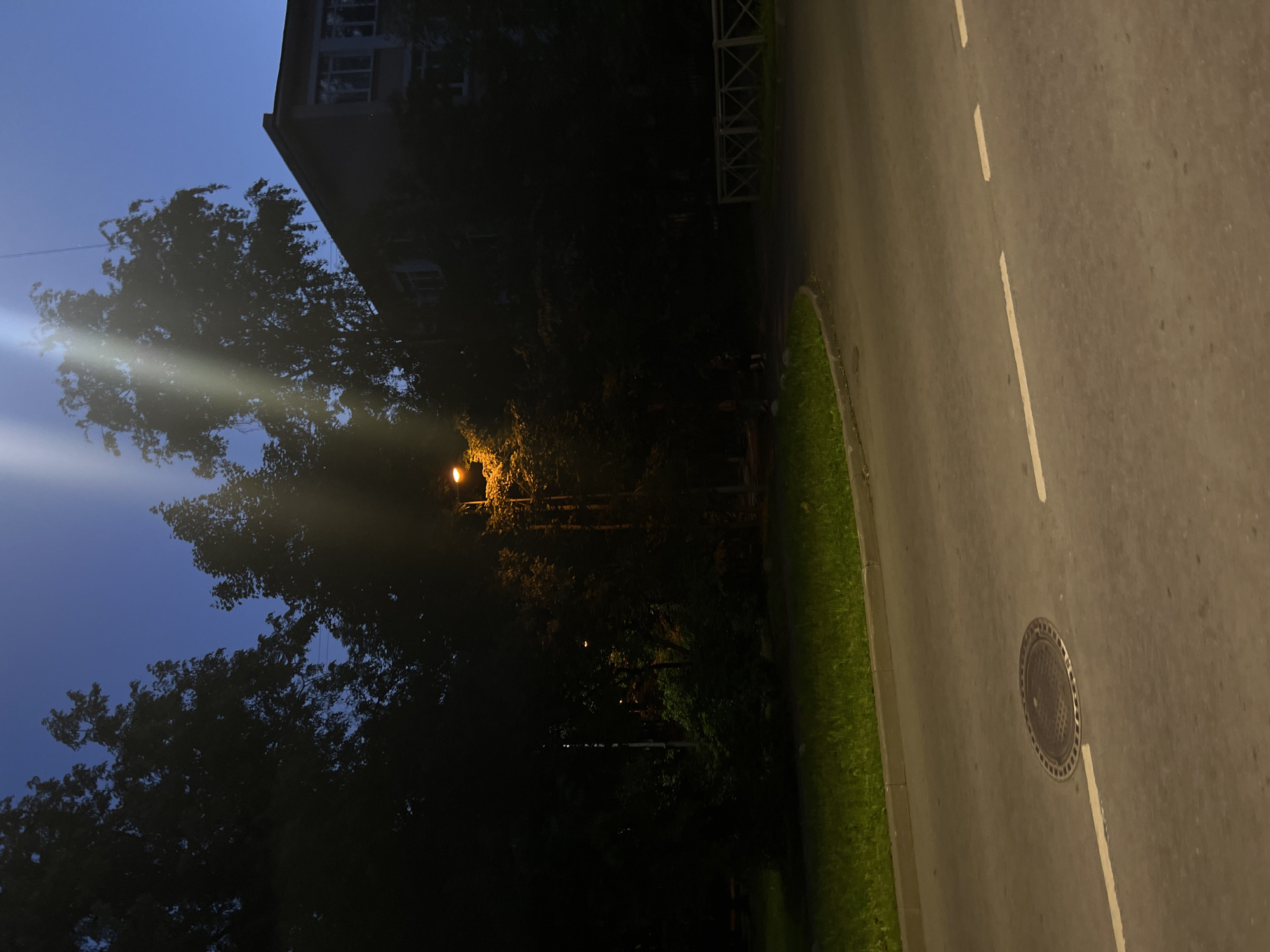 This image captures a nighttime scene in the city of Unknown, Russia. The sky, visible in the upper half, is a deep twilight blue. Dense, dark green foliage from numerous trees frames the left and central-upper parts of the image, appearing largely as silhouettes against the sky. A prominent, vertical white lens flare, originating from the upper-right quadrant, cuts through the sky and tree canopy.
In the mid-ground, a streetlight with an orange-yellow glow illuminates the surrounding trees and a section of the ground. A second, dimmer orange light source is visible further back within the dark foliage on the right side.
To the right of the frame, a multi-story building with a dark facade and several visible rectangular windows is partially obscured by trees. Its sloped roofline is discernible.
The foreground features a grey asphalt road that curves from the lower right towards the center-left. A circular metal manhole cover with a patterned surface is embedded in the road in the lower-middle. A white dashed line is visible on the road surface in the lower right. A light grey concrete curb separates the road from a strip of green grass on the left.
On the far right, a low, light-colored fence with an X-pattern design is visible along a path. Two heavily silhouetted figures are faintly discernible on this path, one appearing to carry a backpack. The scene is dominated by the artificial illumination of the streetlights and the deep shadows of the night.