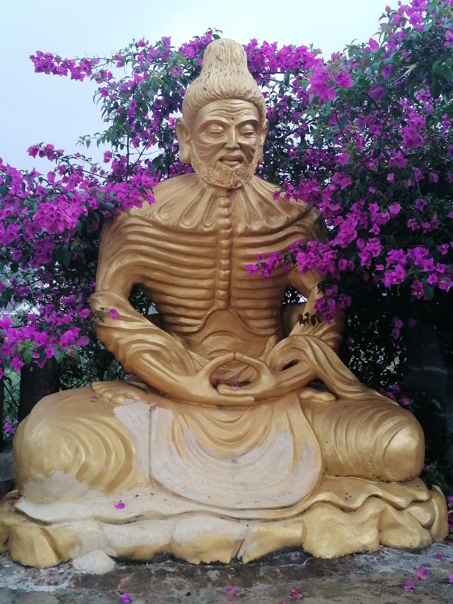 This image captures a golden statue of a meditating figure, positioned outdoors against a backdrop of vibrant foliage in Da Lat, Vietnam. The statue depicts a man with an emaciated physique, highlighted by visible ribs on his torso, indicative of ascetic practice. He features a beard, a distinct topknot, and a serene expression on his face. His hands are clasped in a meditative gesture, and he wears a ruffled collar and a simple draped garment around his lower body.
The golden figure is surrounded and framed by a profusion of bright magenta-purple bougainvillea flowers and green leaves, creating a vivid contrast with the metallic sheen of the statue. The sky in the upper background is light and appears overcast, casting a soft, diffused light on the entire scene without harsh shadows, suggesting either an early morning, late afternoon, or a cloudy day. The overall atmosphere conveyed is one of tranquility and spiritual contemplation, set within a lush, natural environment. There is no visible text in the image.